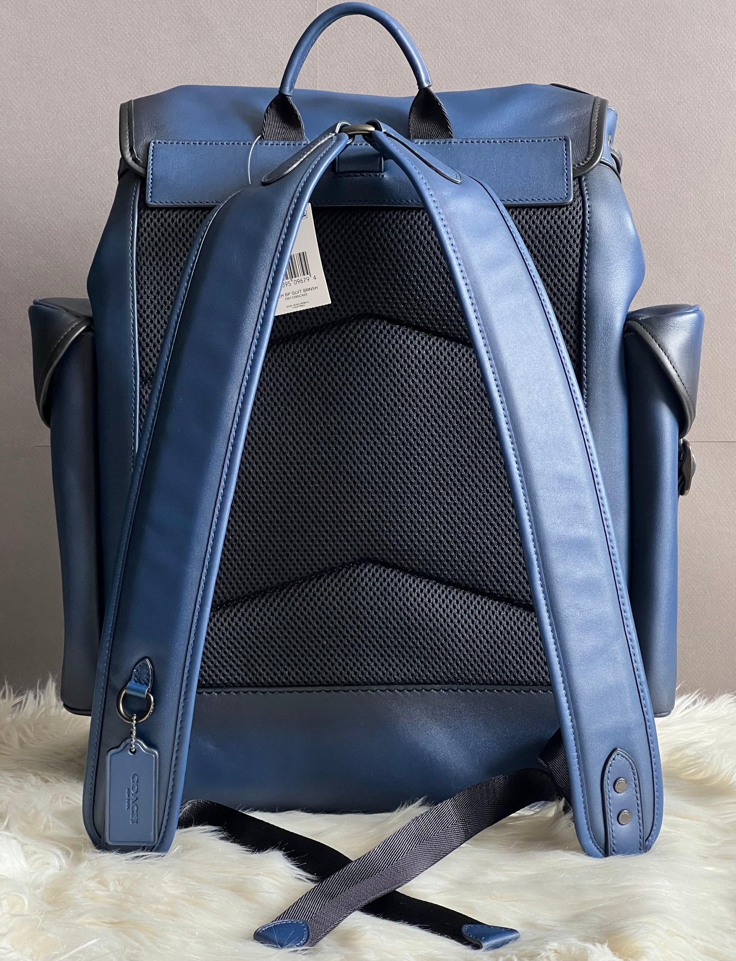 Coach Hitch Backpack