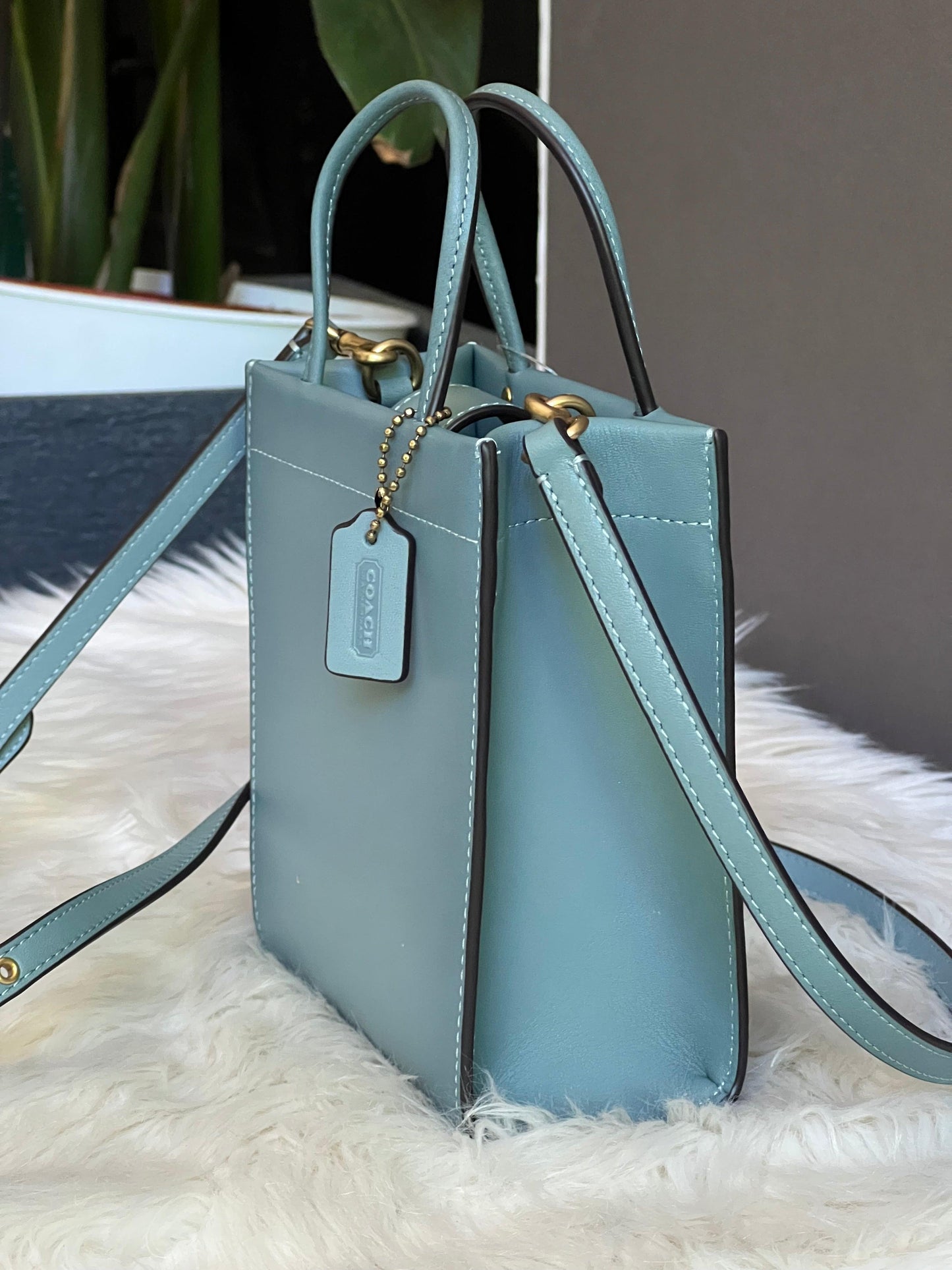 Coach Mini Cashin Tote