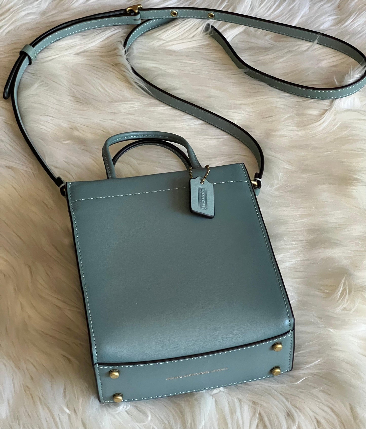Coach Mini Cashin Tote