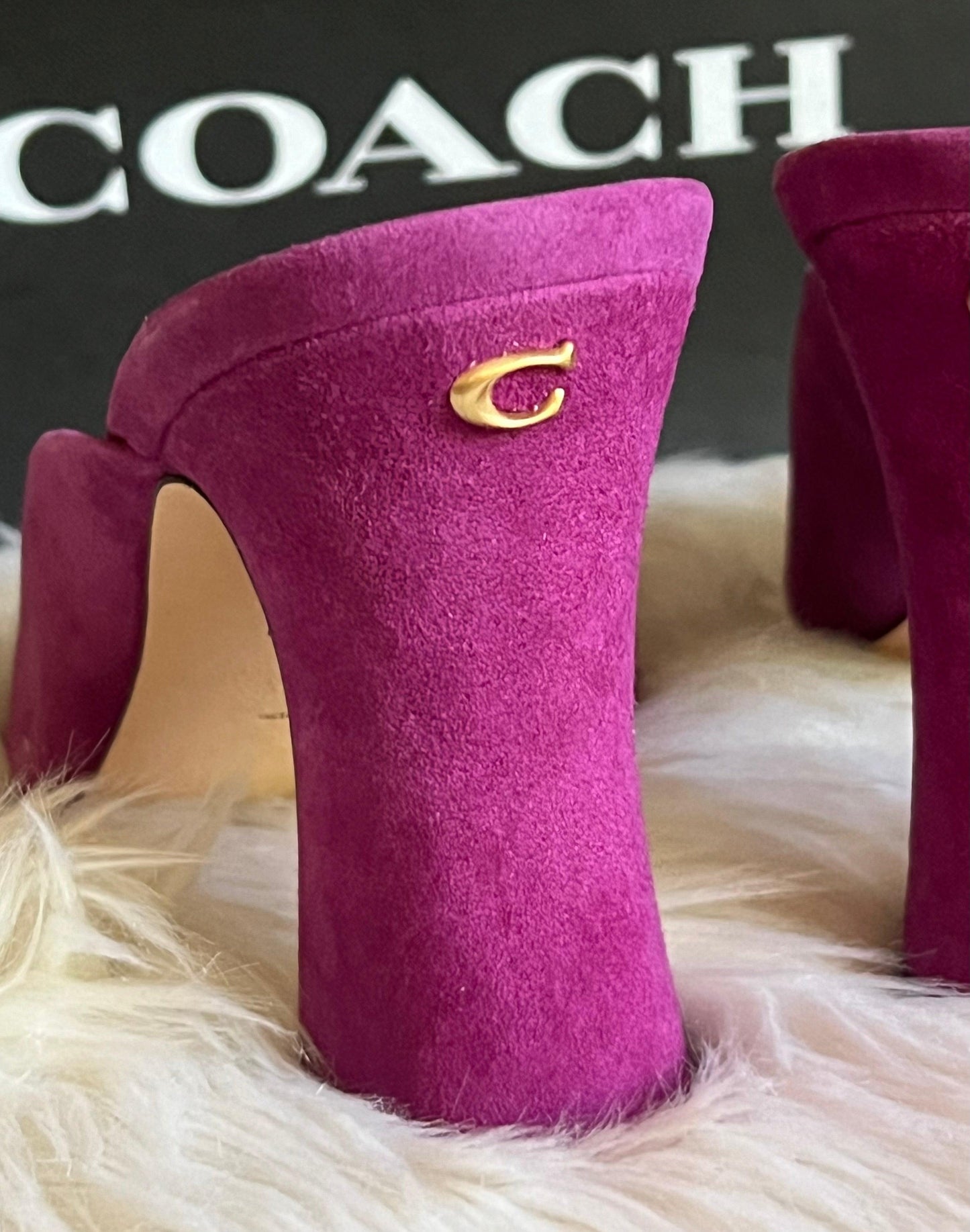 Coach Laurence Sandal