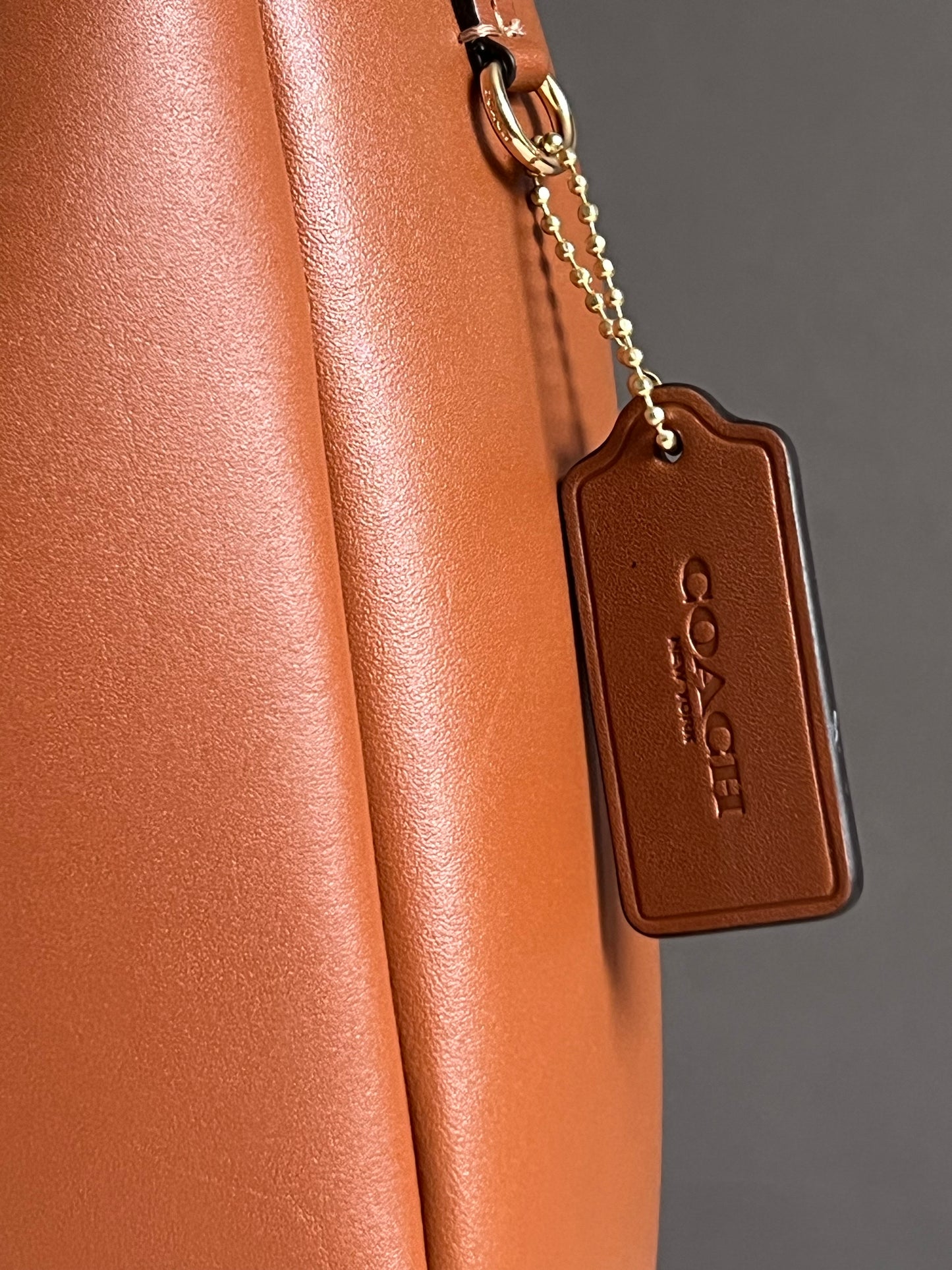 Coach Hadley Convertible Crossbody
