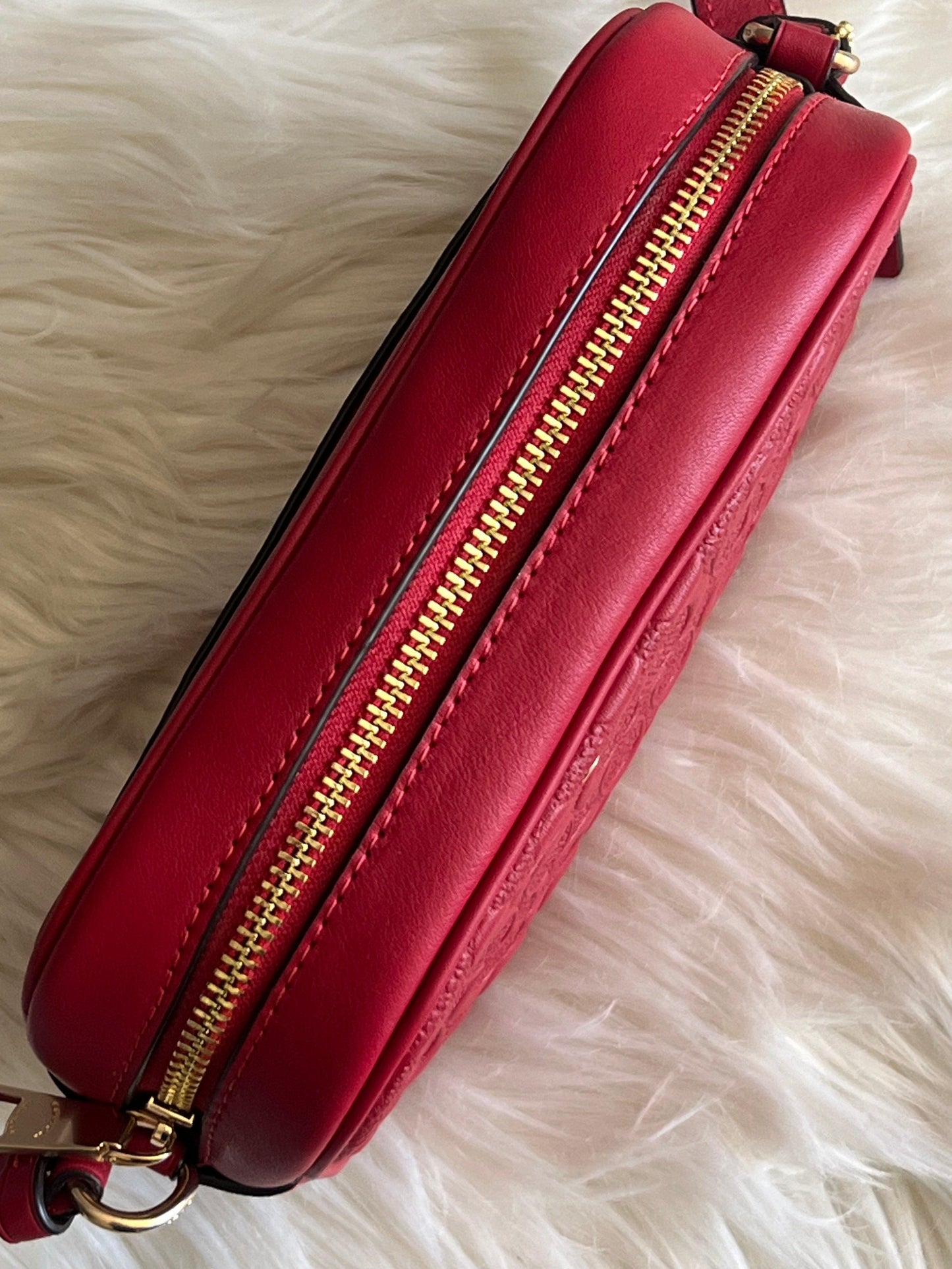Coach Mini Jamie Camera Bag in Signature Leather