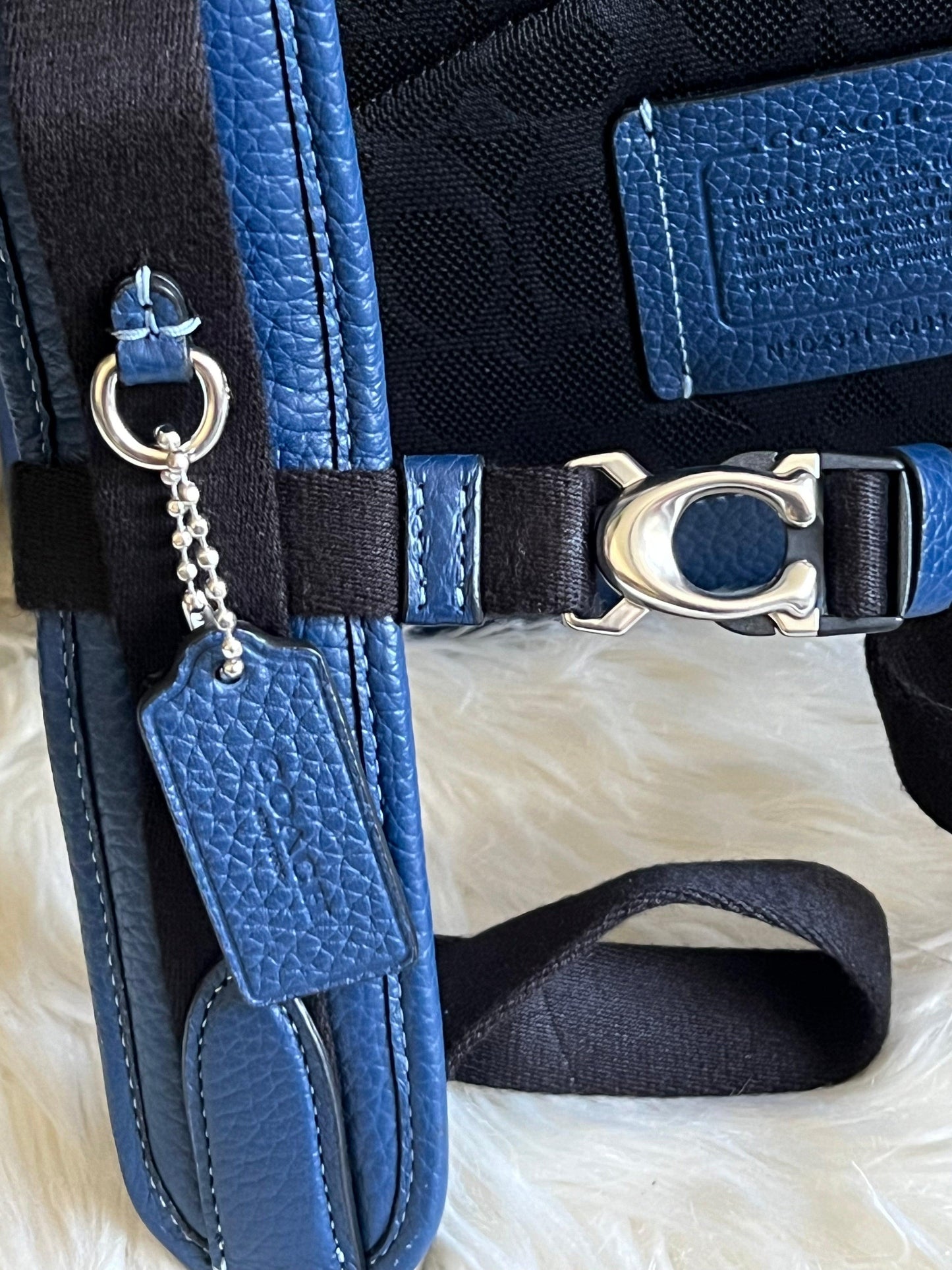 Coach Beck Roll Top Backpack