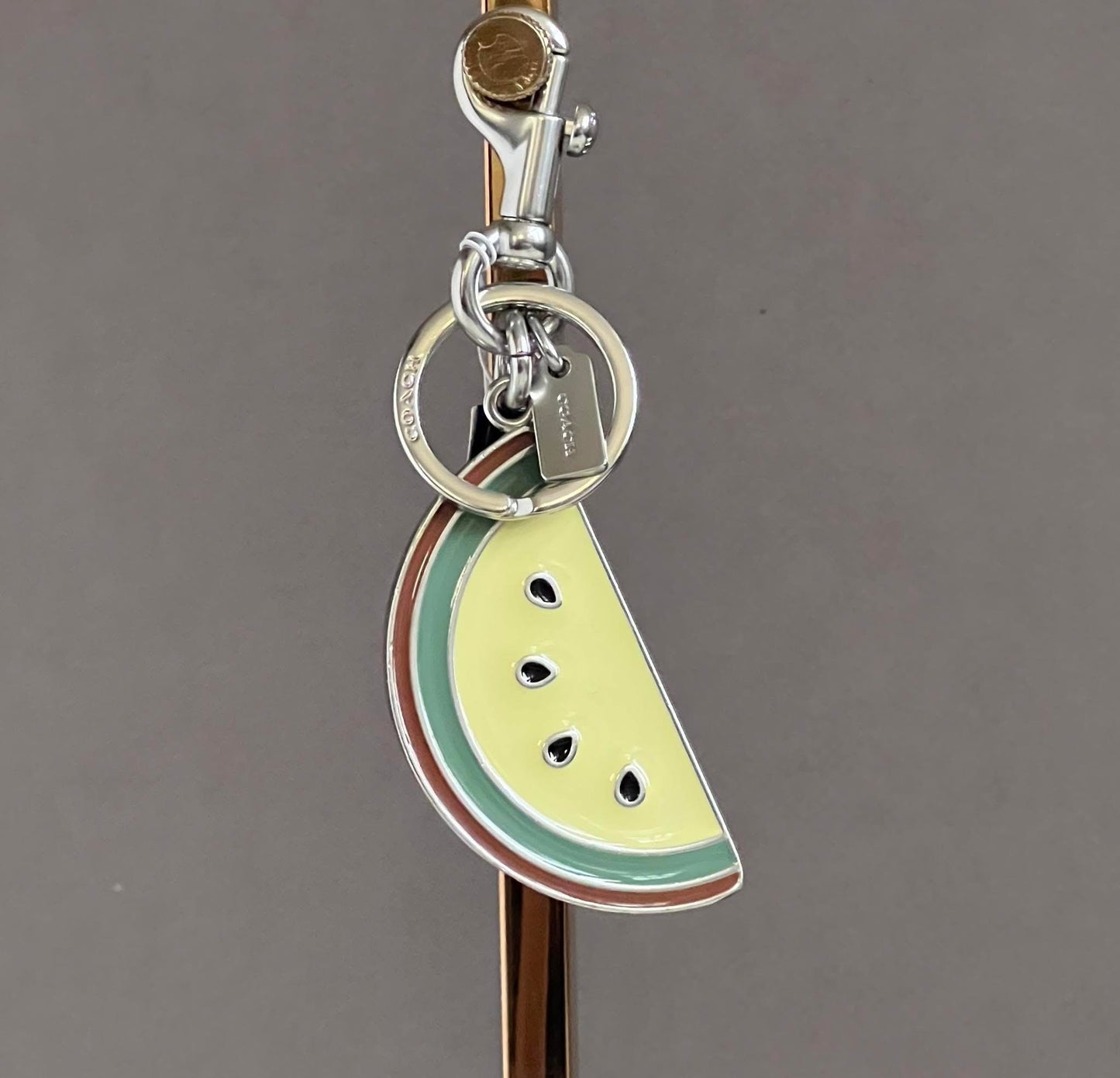 Coach Melon Slice Bag Charm