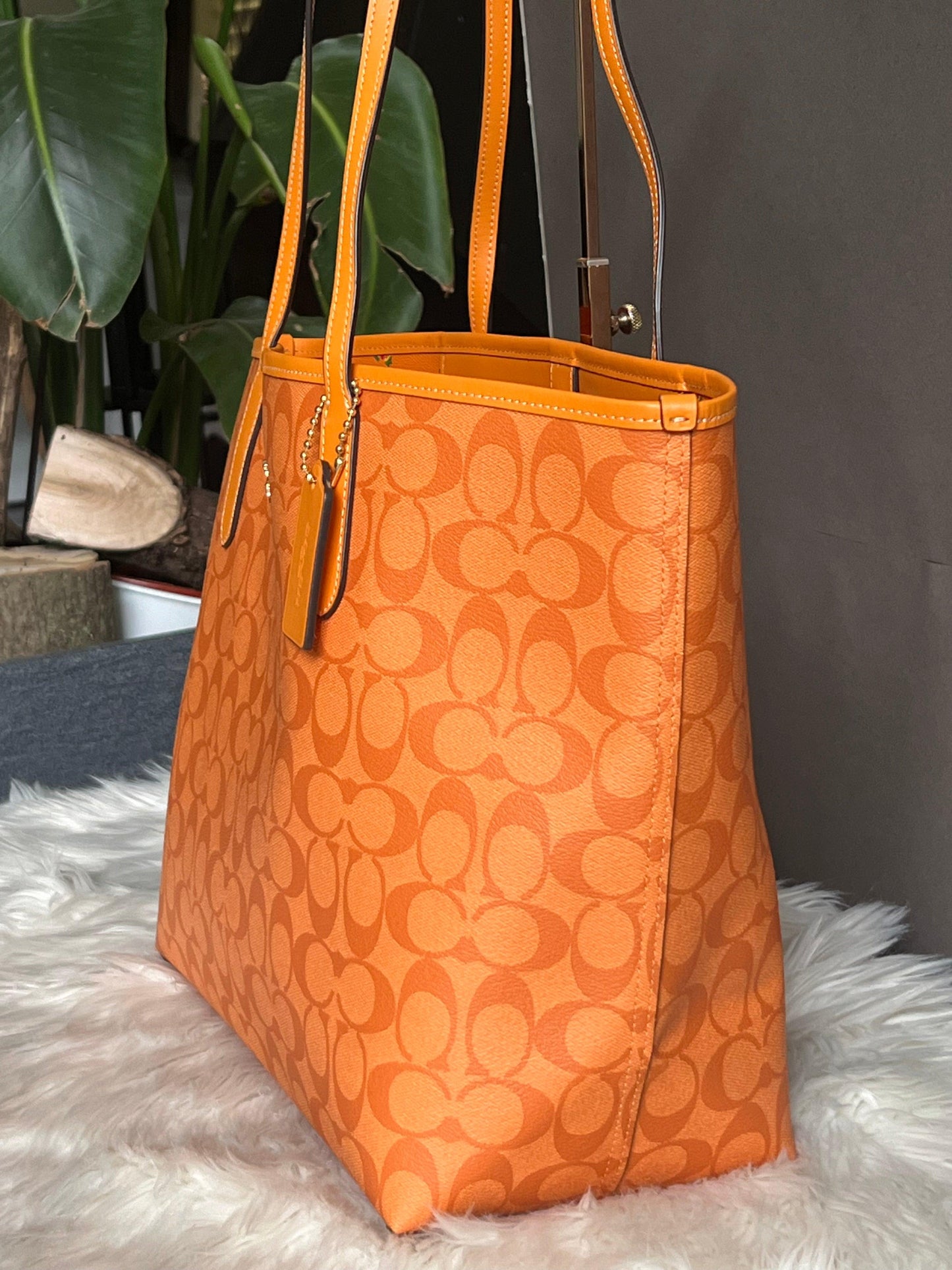 Coach City Tote in Signature Canvas