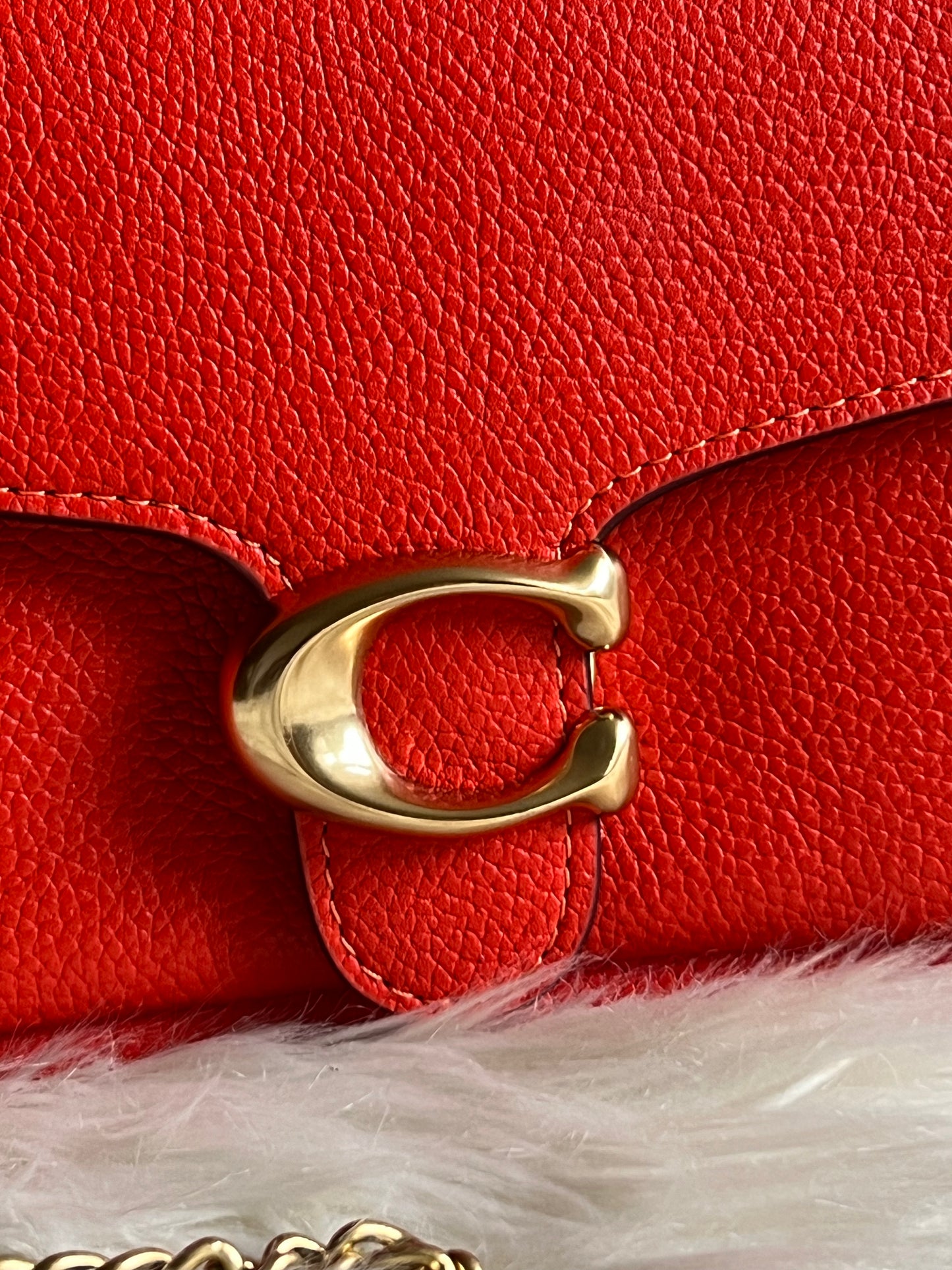 Coach Tabby Chain Clutch