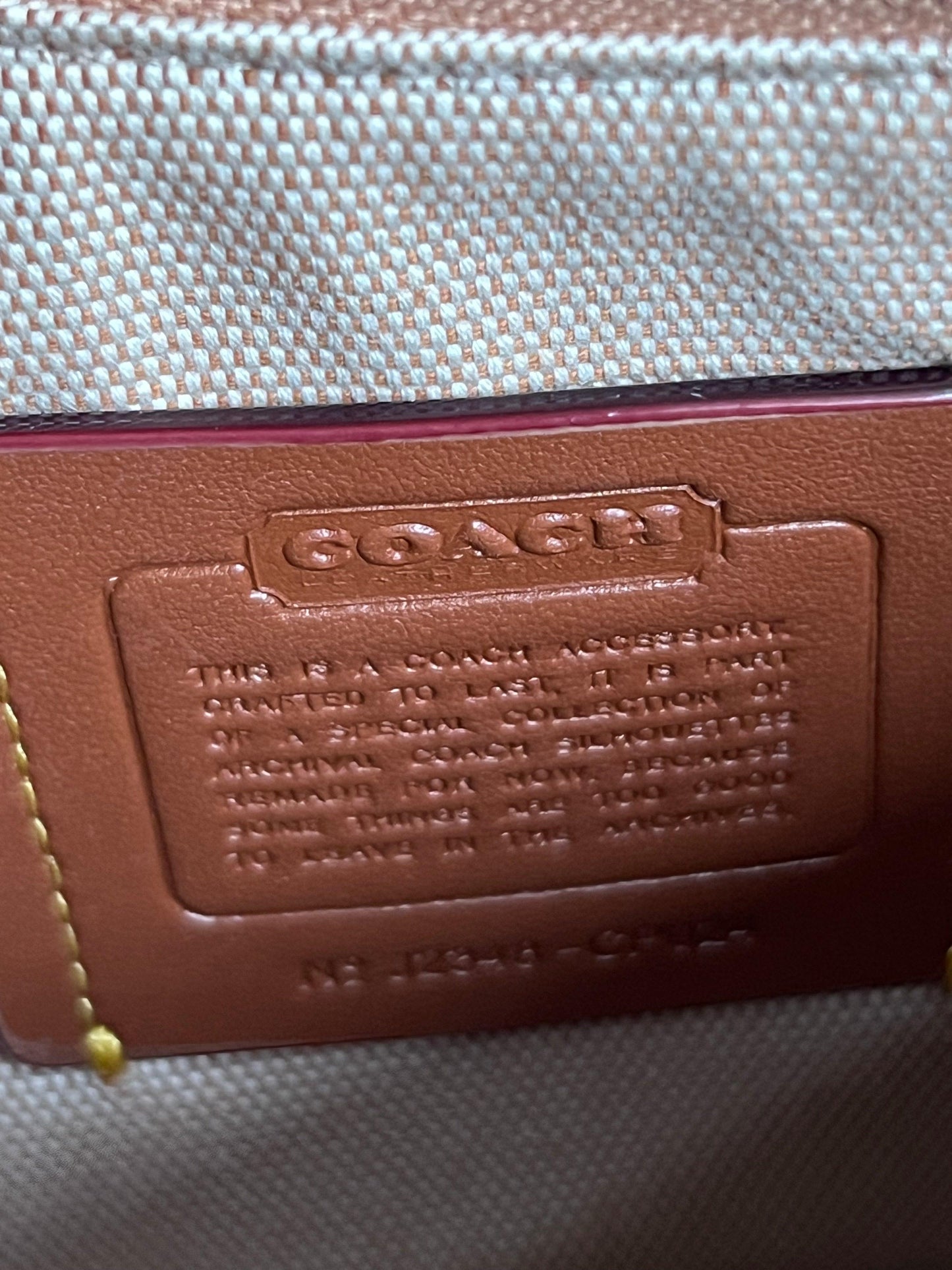 Coach Swinger Bag 20