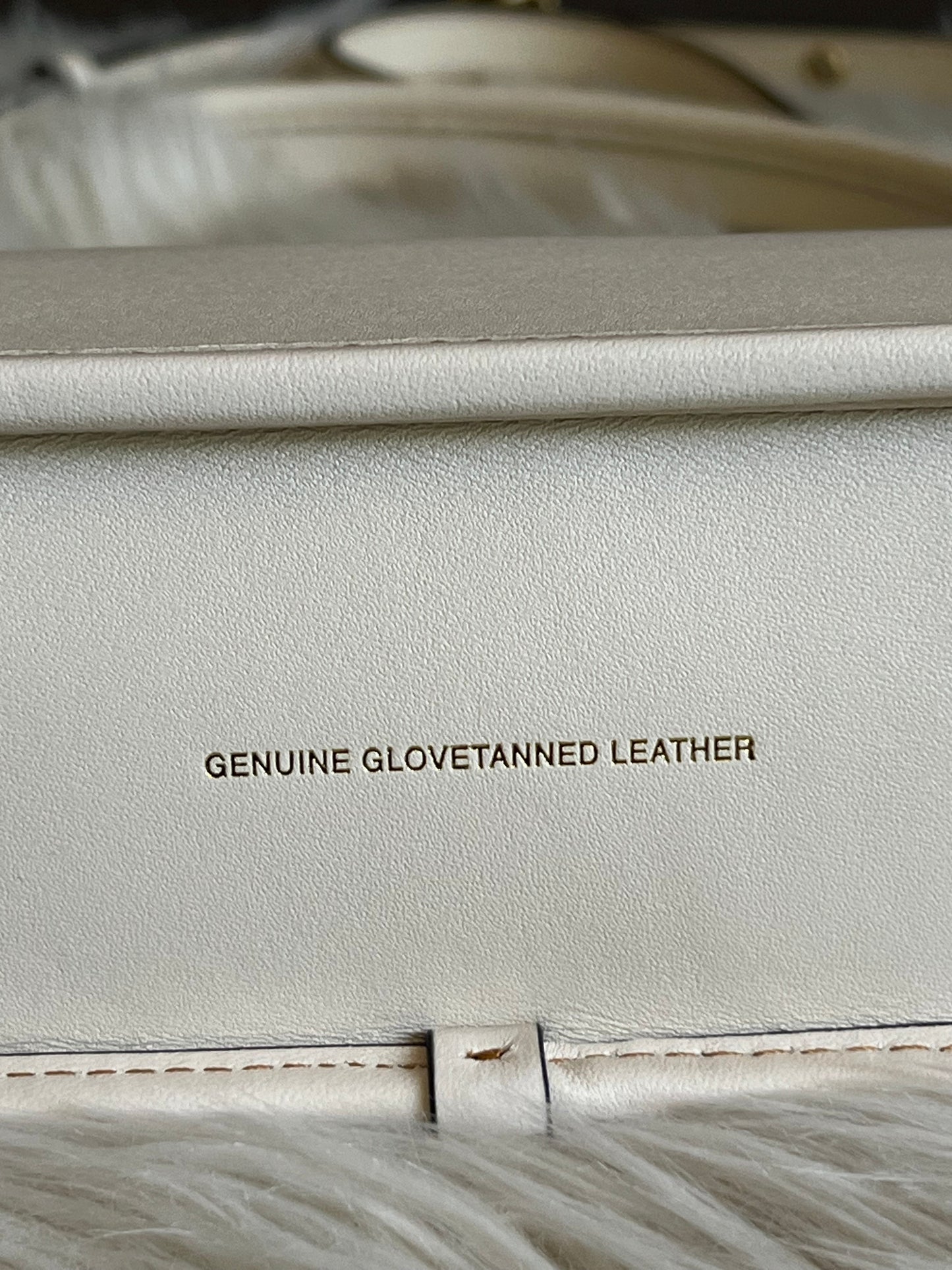 Coach Swinger Bag