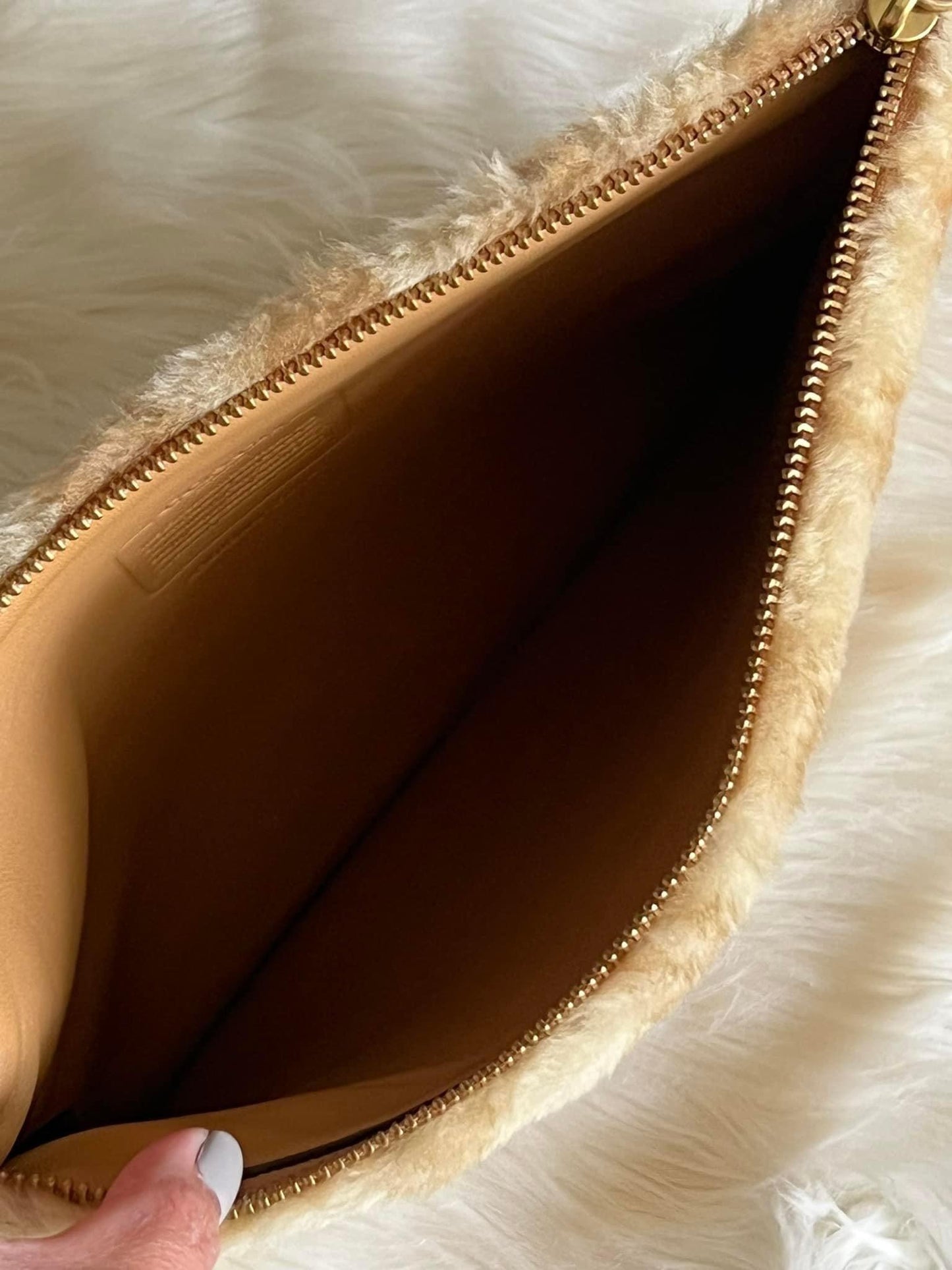 Coach Charter Pouch in Signature Shearling