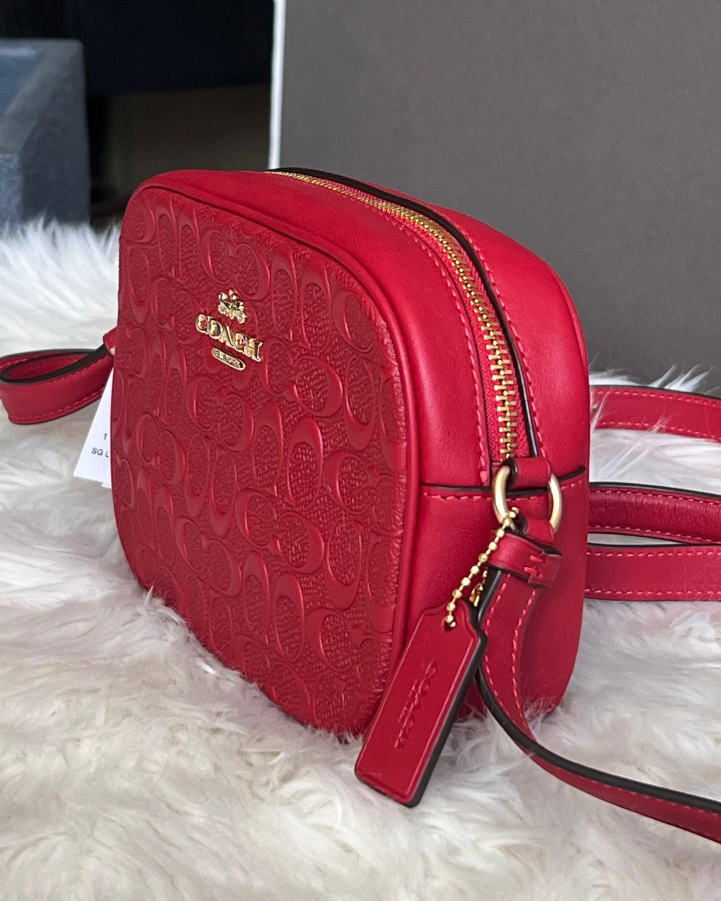 Coach Mini Jamie Camera Bag in Signature Leather