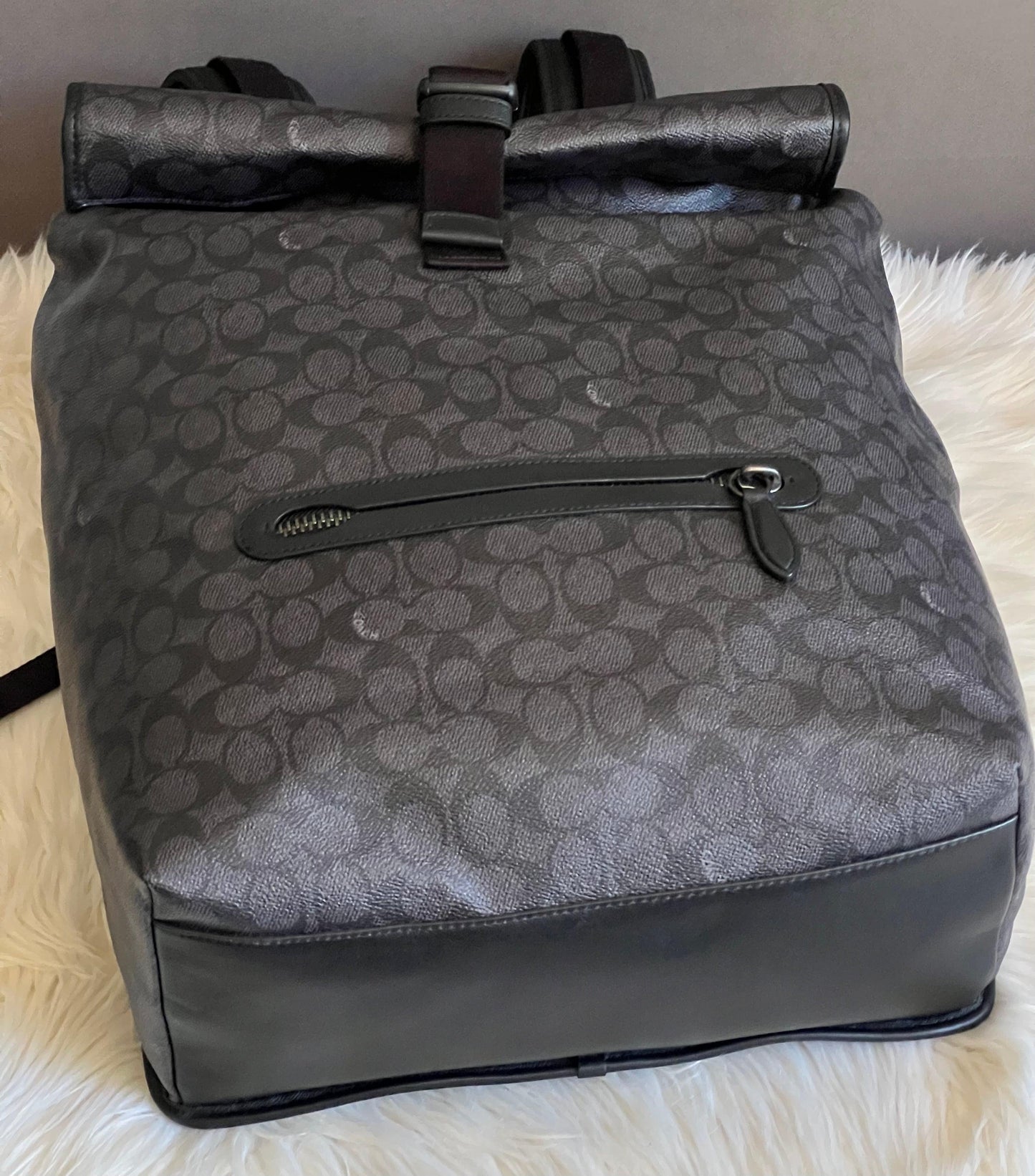Coach Beck Roll Top Backpack in Signature Canvas