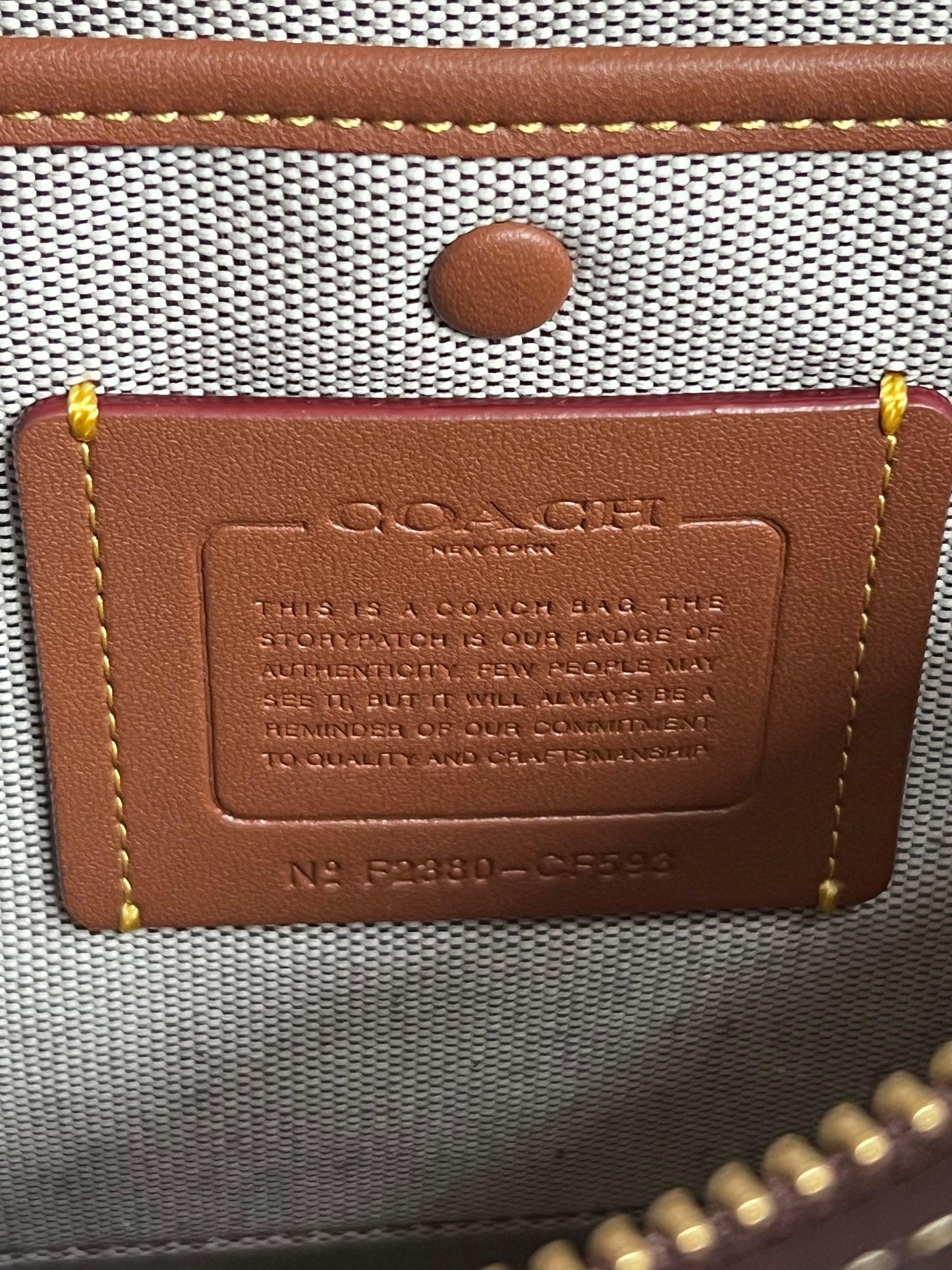 Coach Rogue in Colorblock