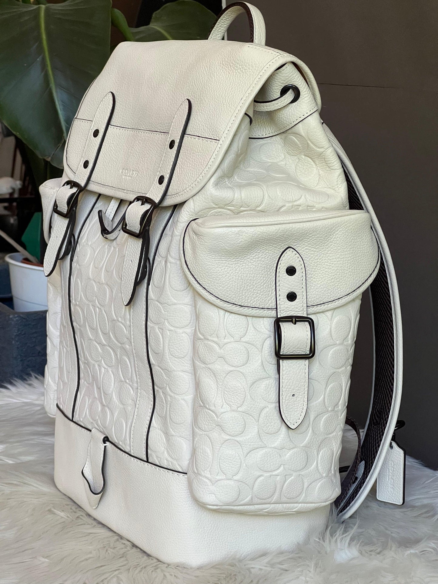 Coach Hitch Backpack in Signature Leather