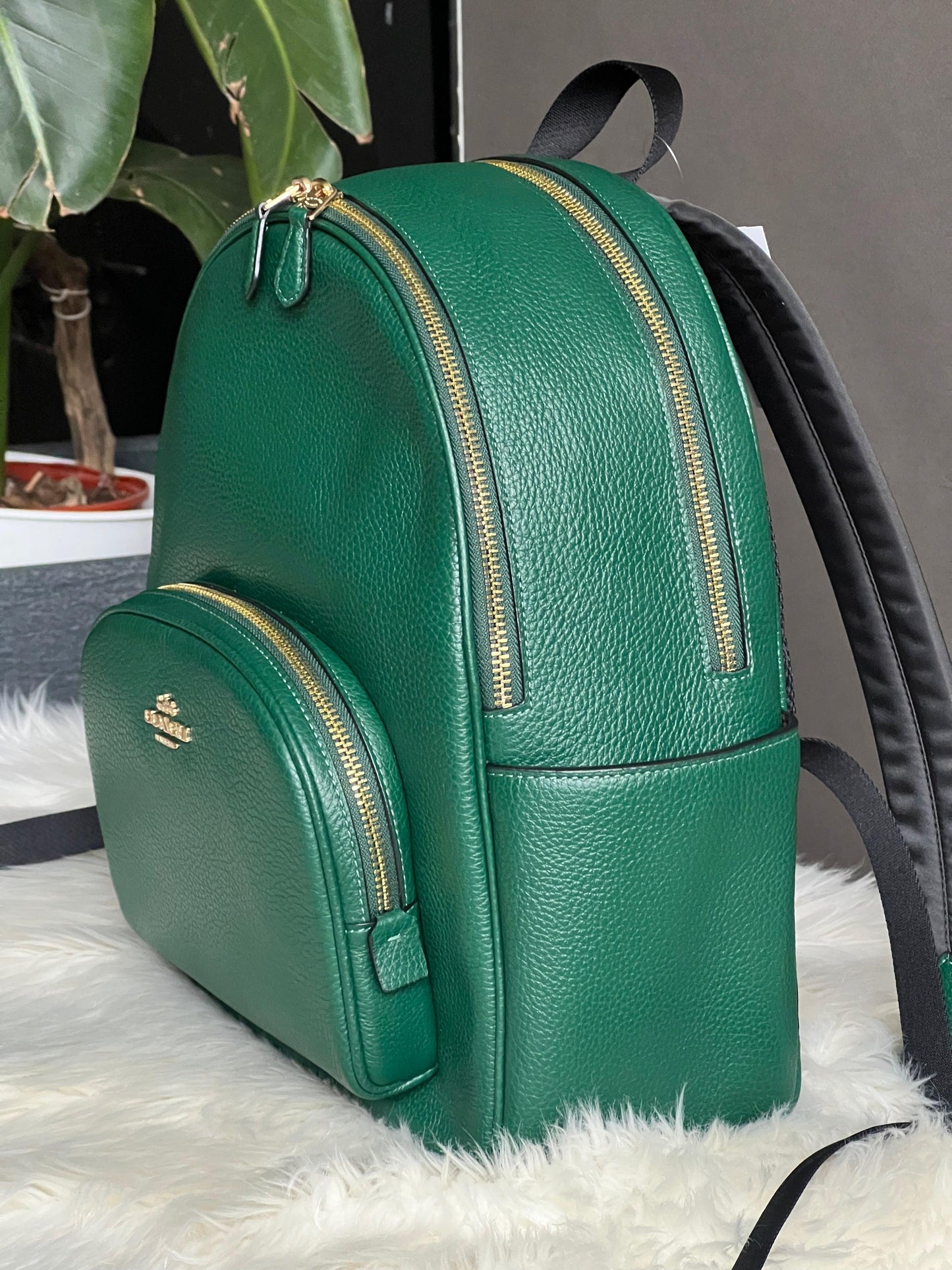 Coach Court Backpack