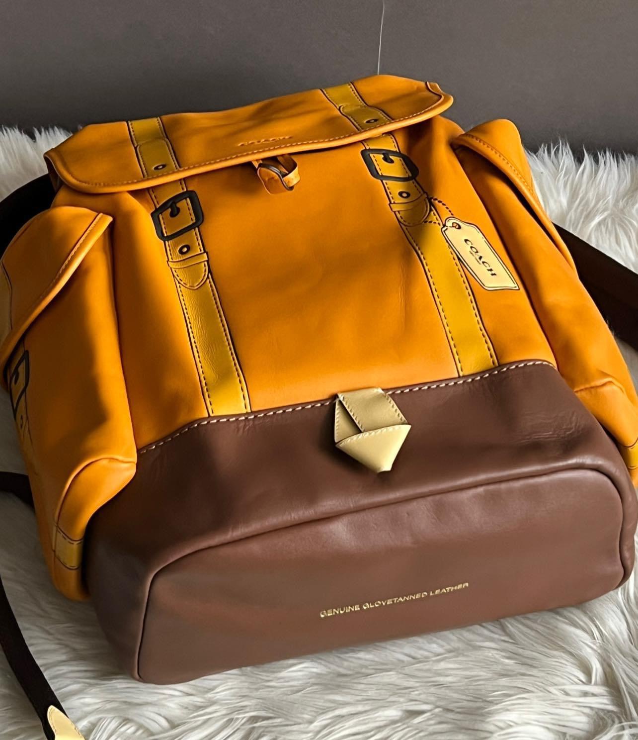 Coach Hitch Backpack with Trompe L’oeil