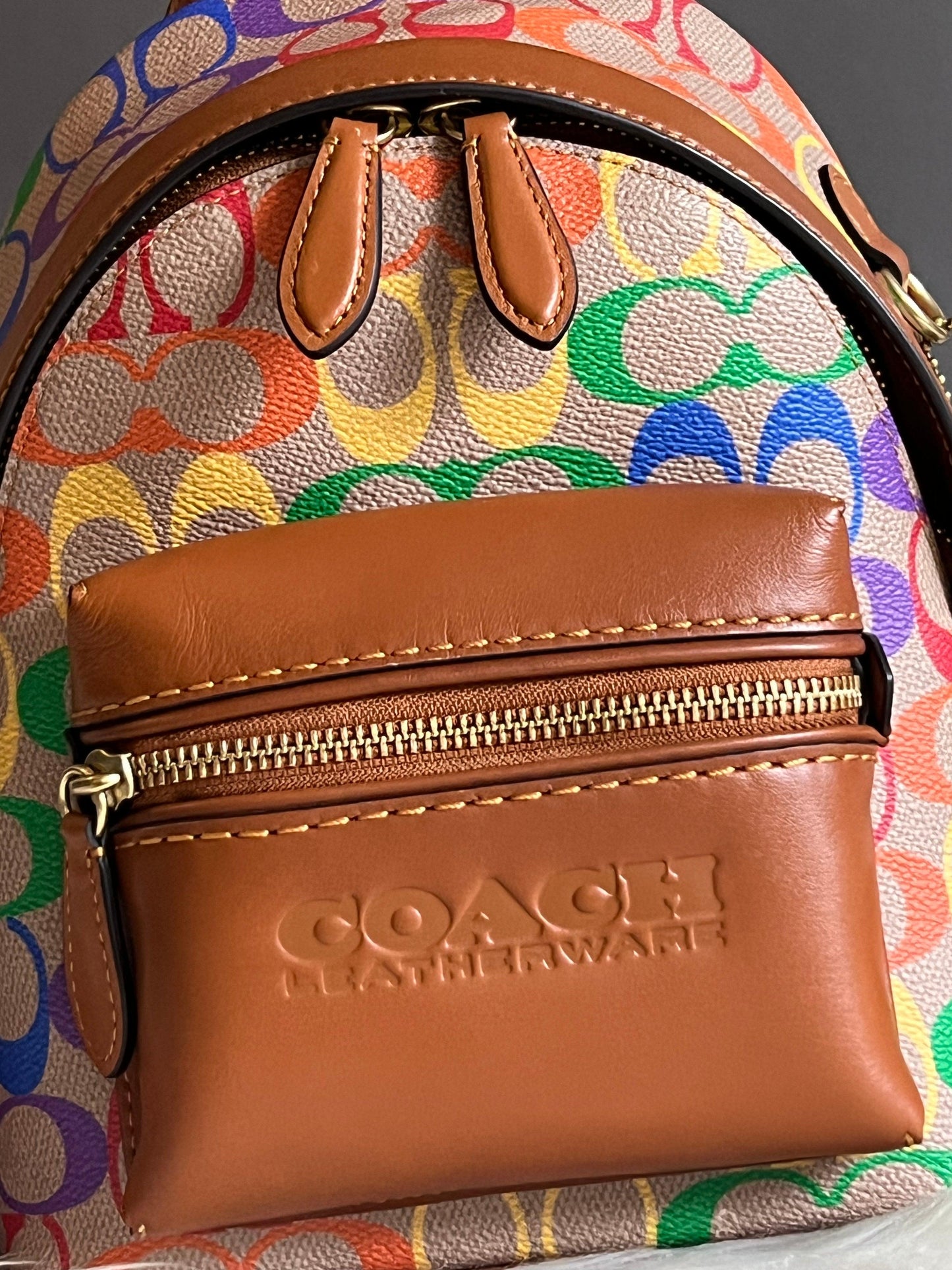 Coach Charter Backpack 18 in Rainbow Signature Canvas