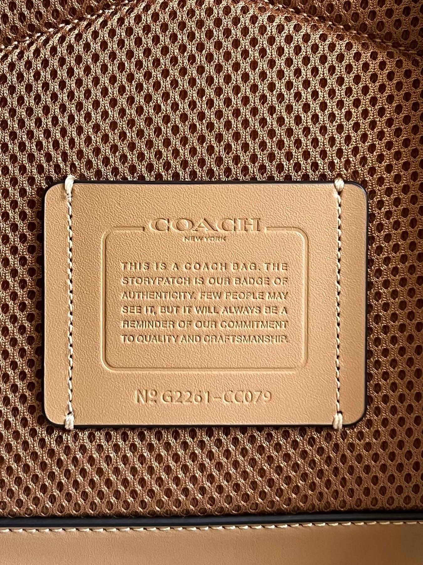 Coach Charter Backpack In Signature Shearling