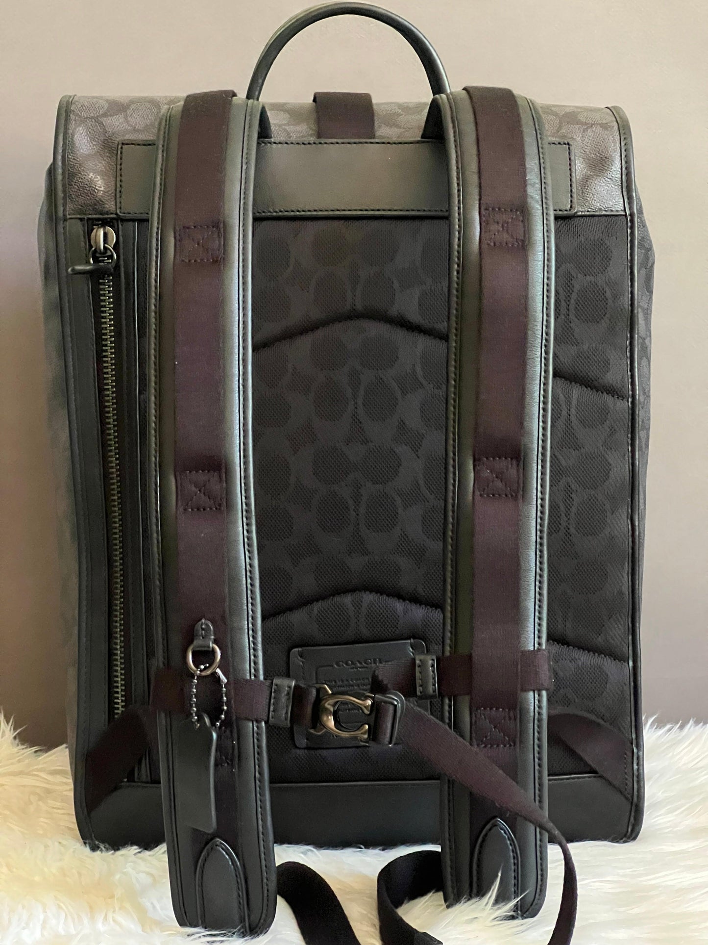 Coach Beck Roll Top Backpack in Signature Canvas