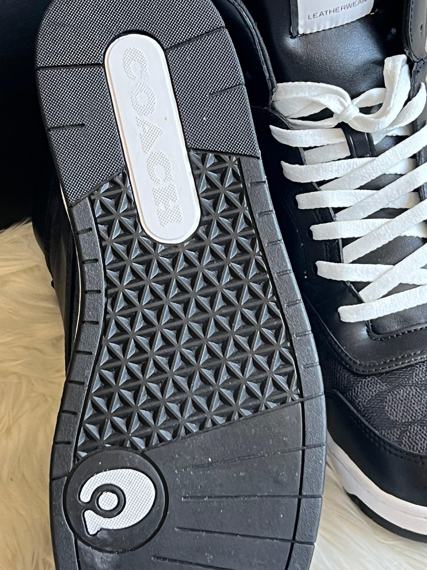 Coach High Top Sneaker in Signature Canvas
