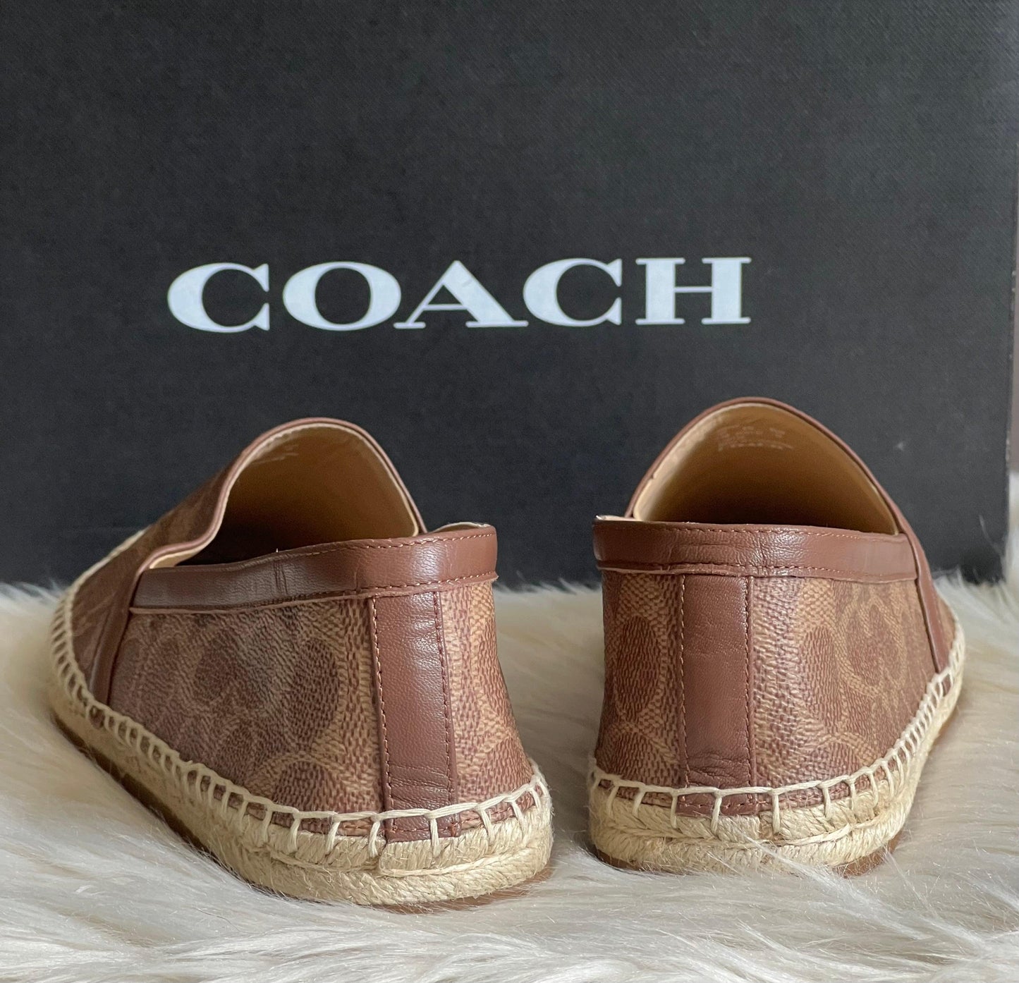 Coach Collins Espadrille in Signature Canvas