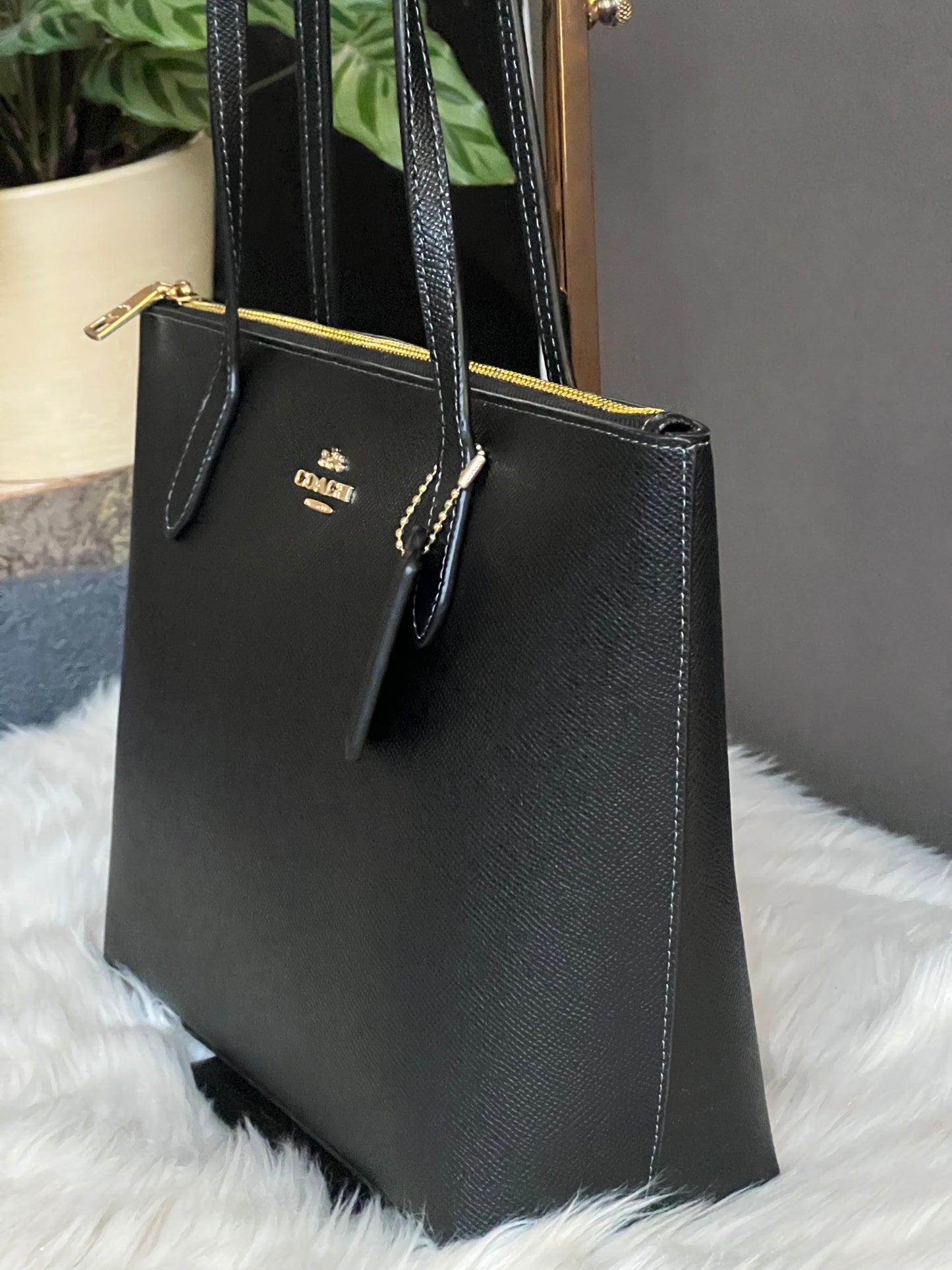 Coach Fiona Zip Tote Bag