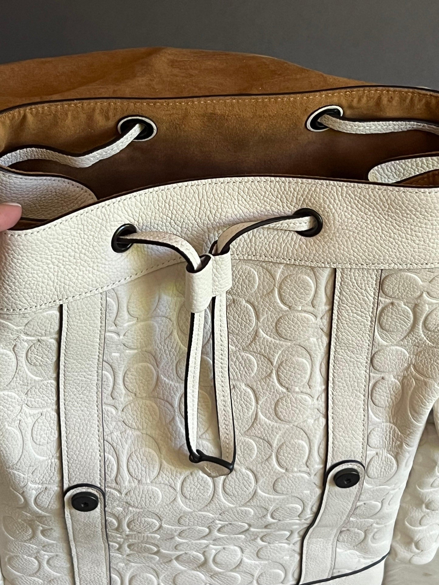 Coach Hitch Backpack in Signature Leather