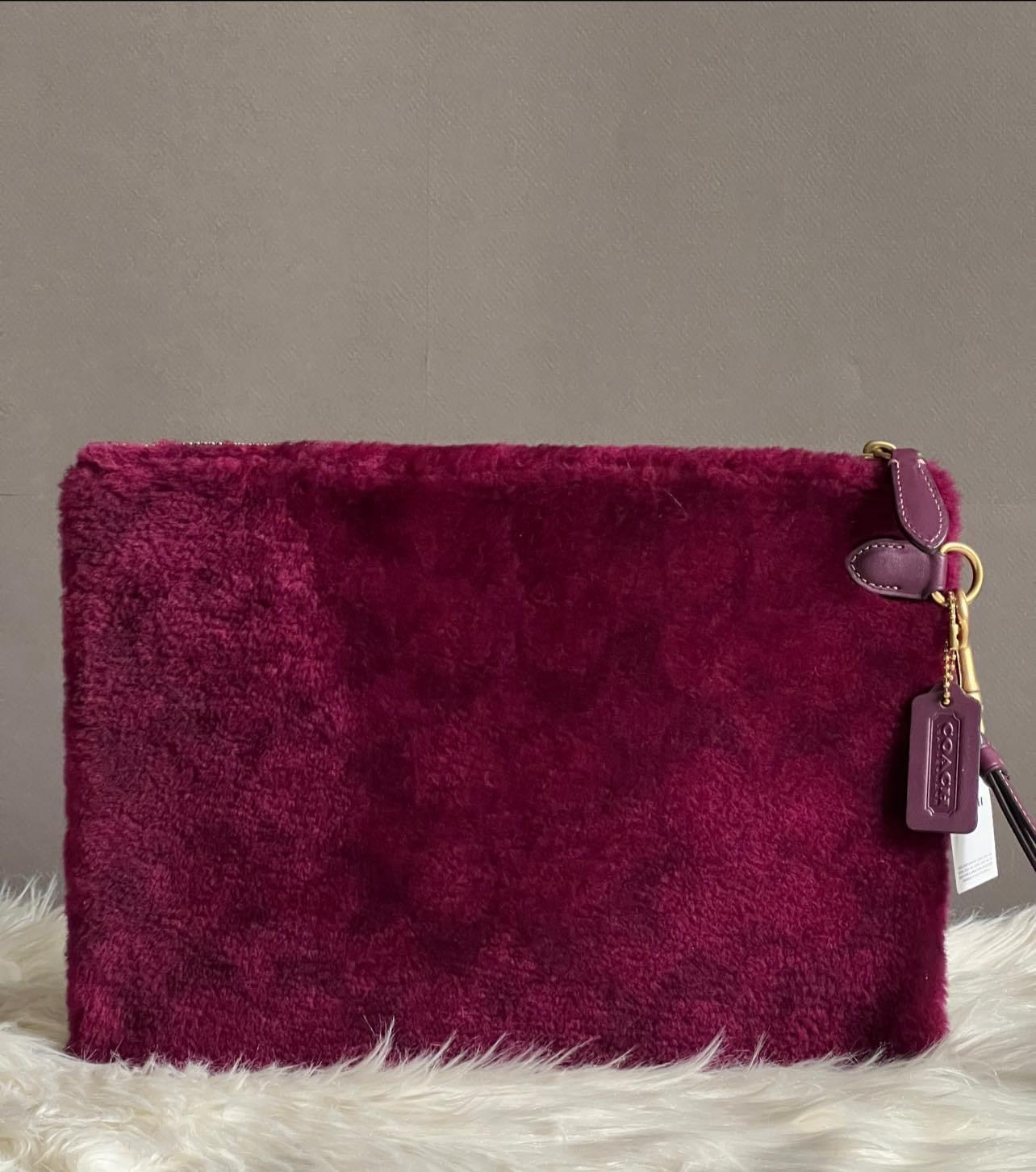 Coach Charter Pouch in Signature Shearling