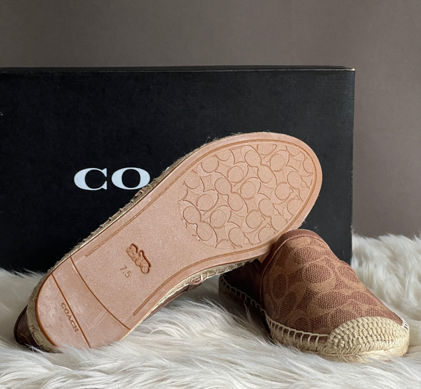 Coach Collins Espadrille in Signature Canvas