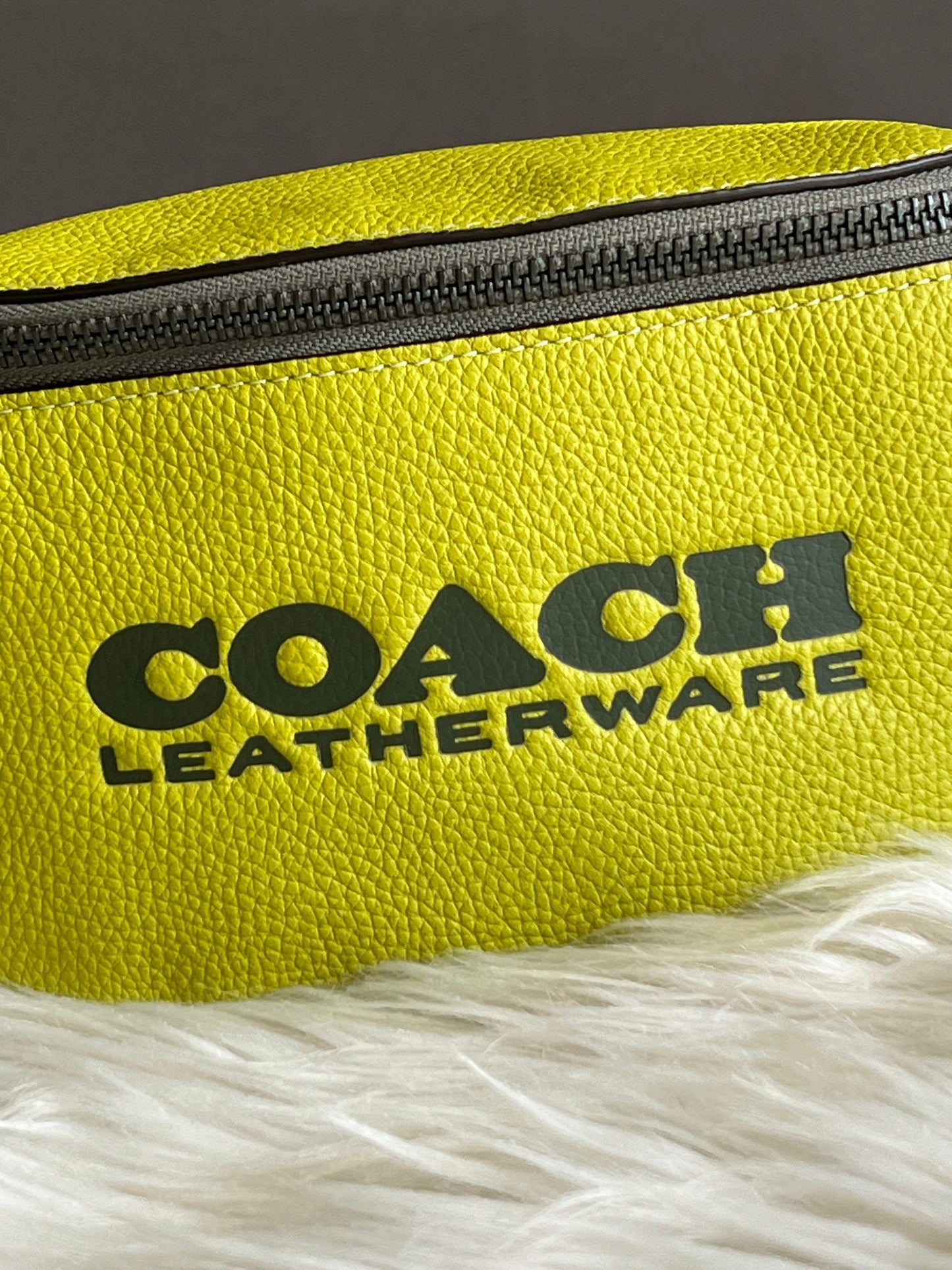 Coach Charter Belt Bag 7
