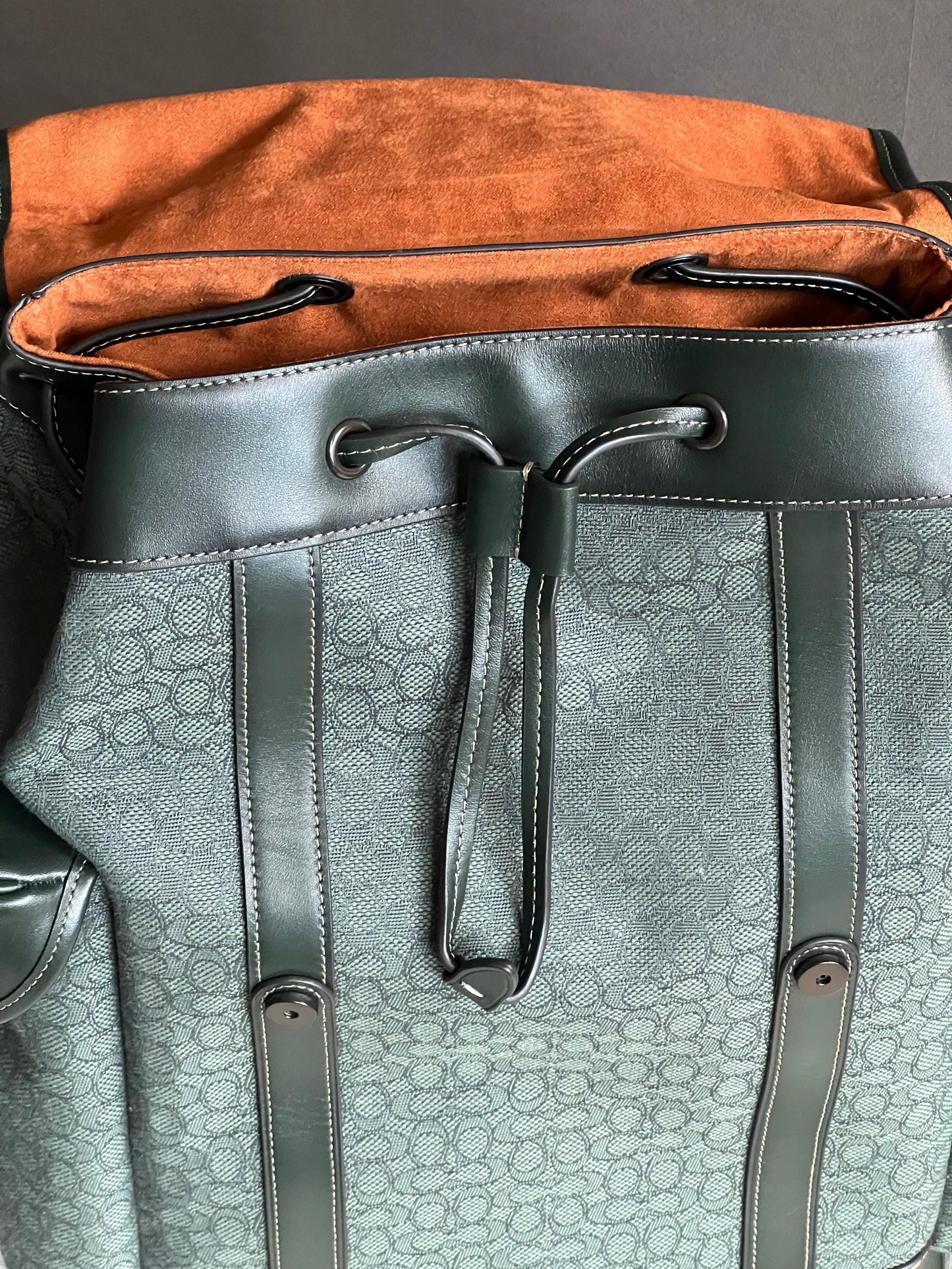 Coach Hitch Backpack in Micro Signature Jacquard