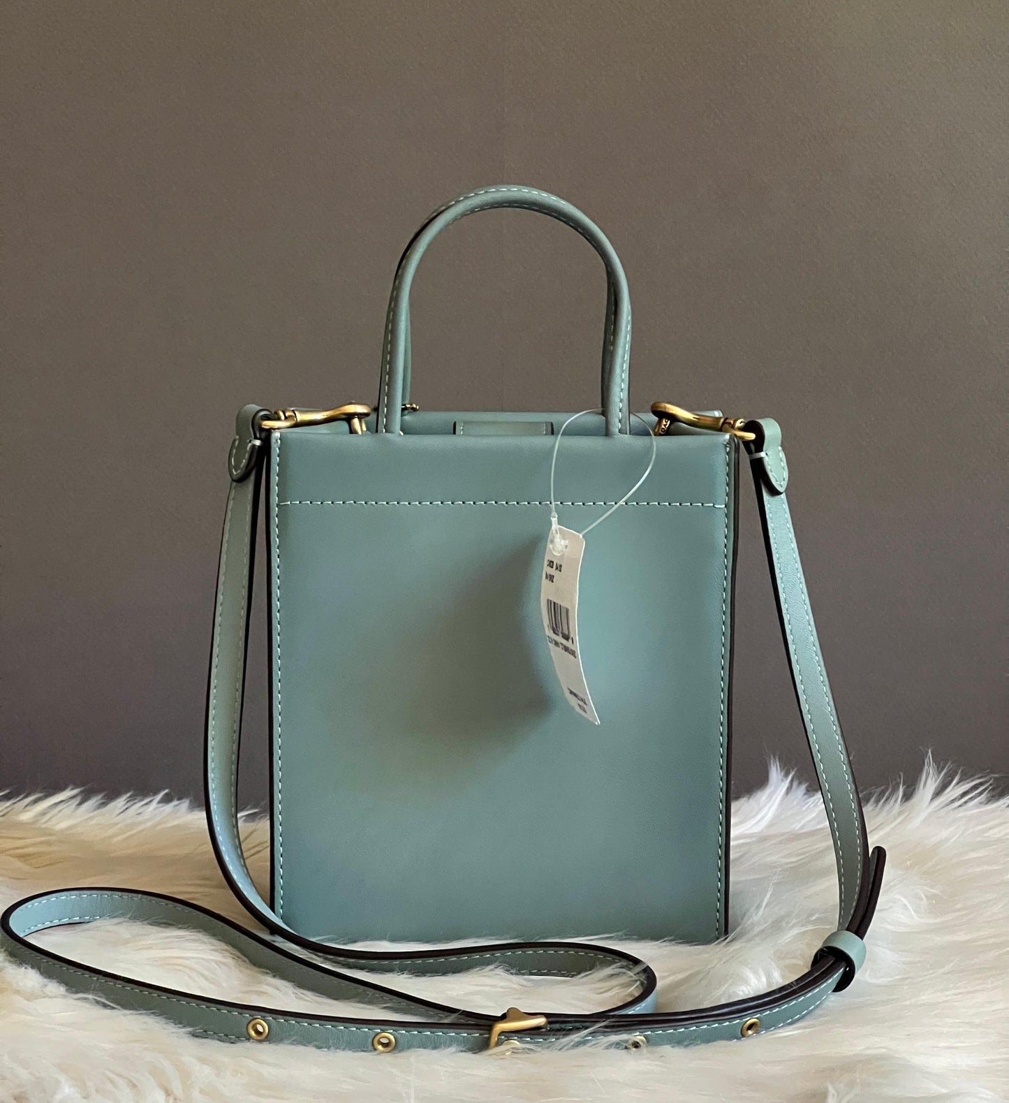 Coach Mini Cashin Tote