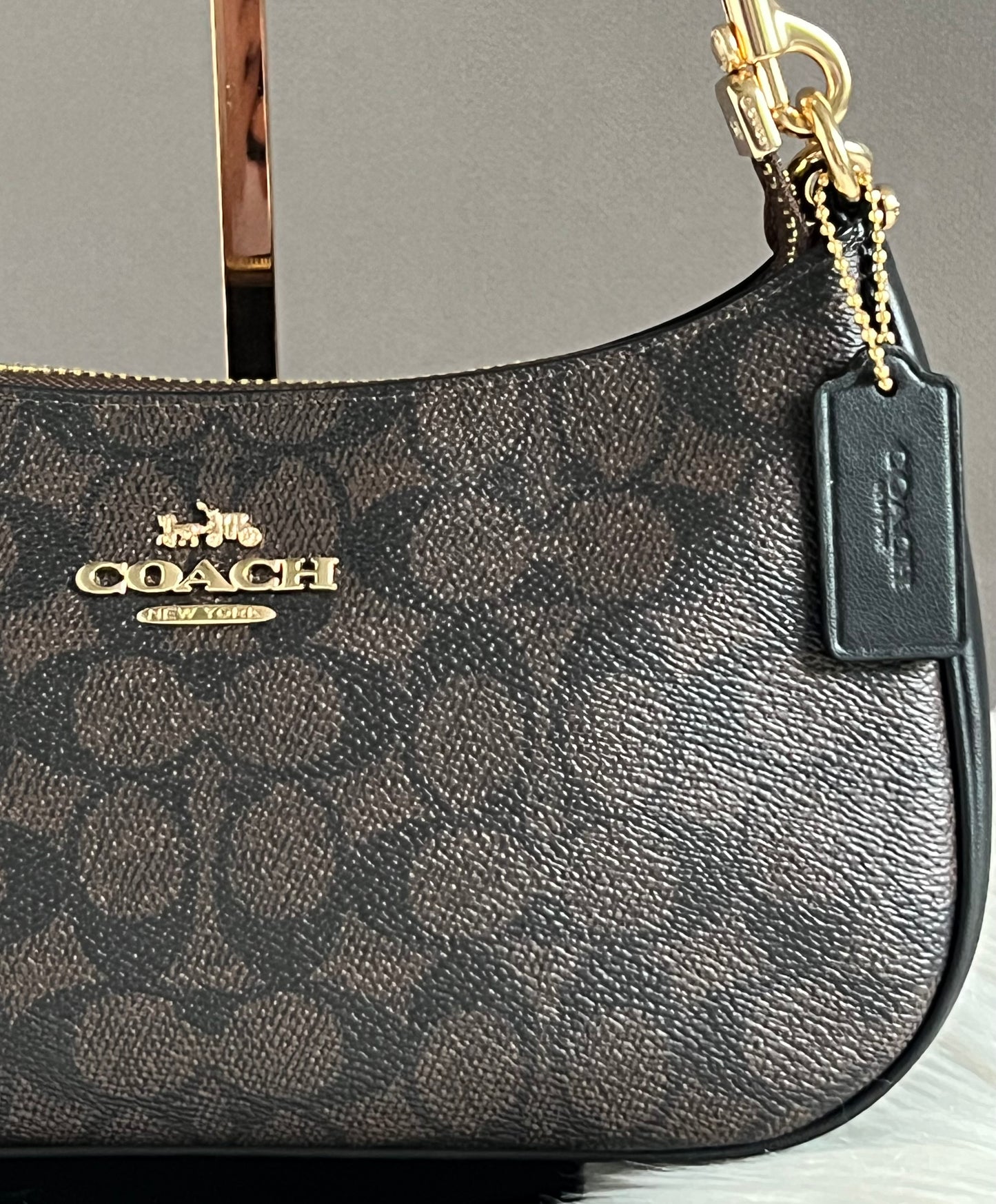Coach Teri Shoulder Bag in Signature Canvas