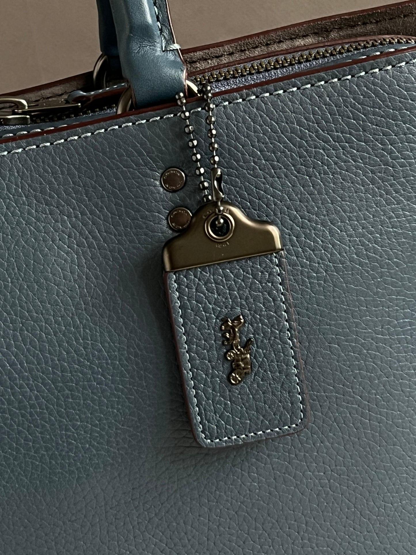 Coach Rogue Brief