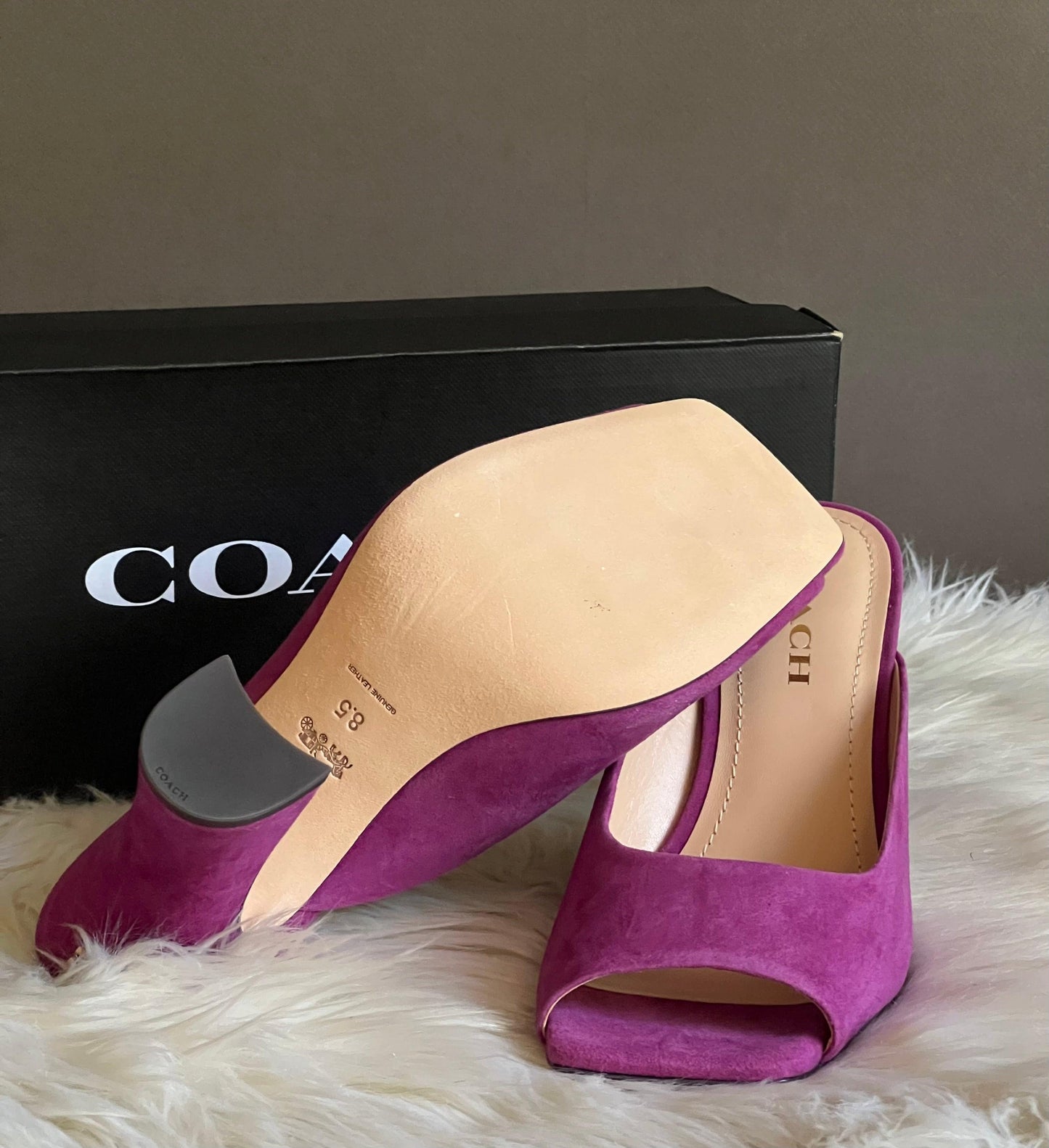 Coach Laurence Sandal