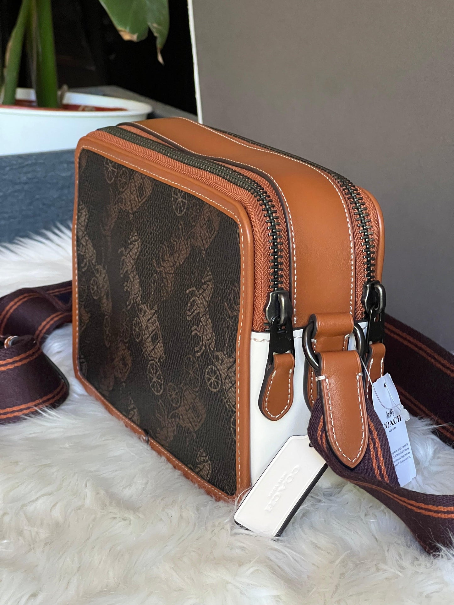Coach Charter Crossbody 24 with Large Horse and Carriage Print