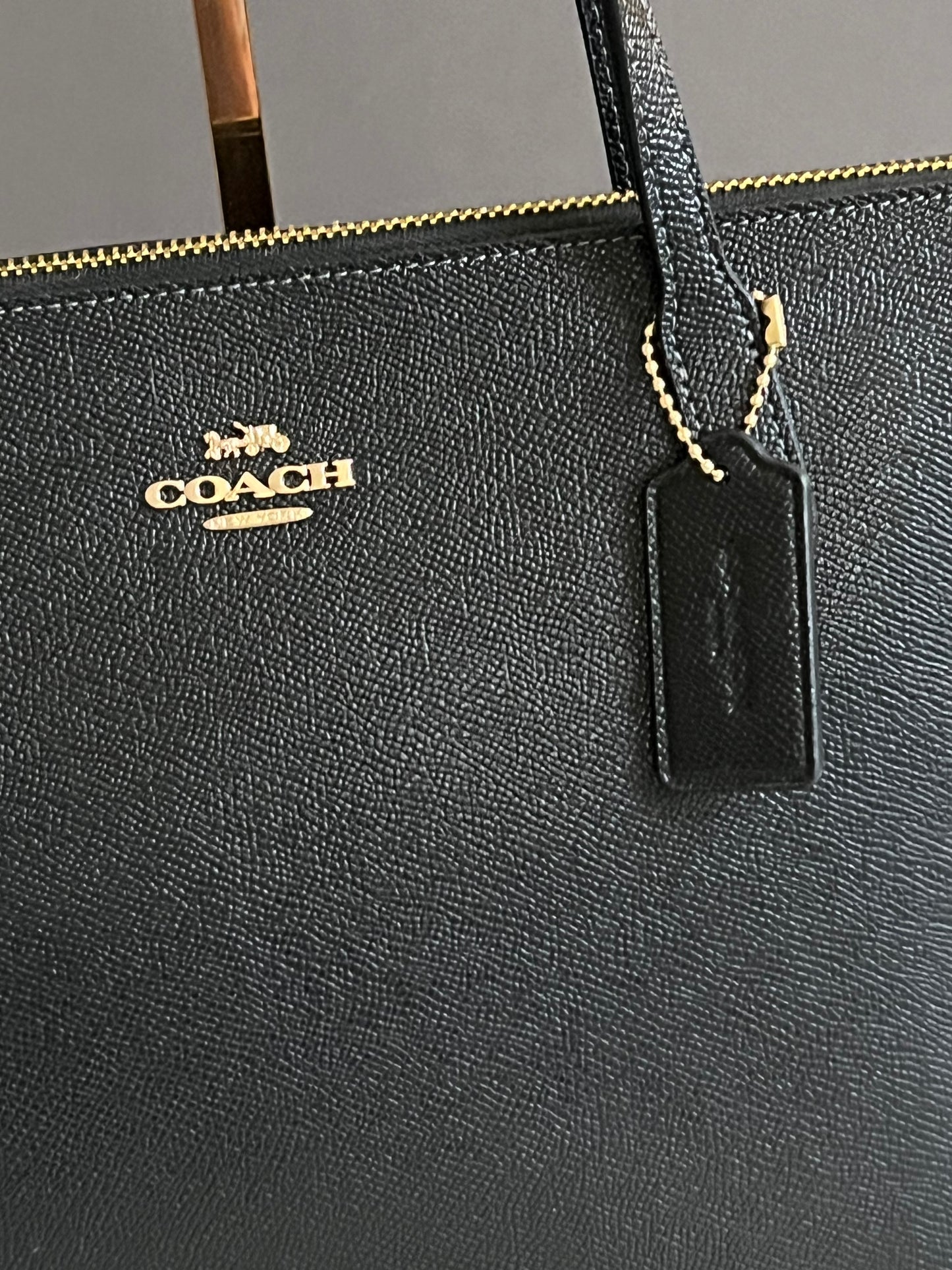 Coach Fiona Zip Tote Bag