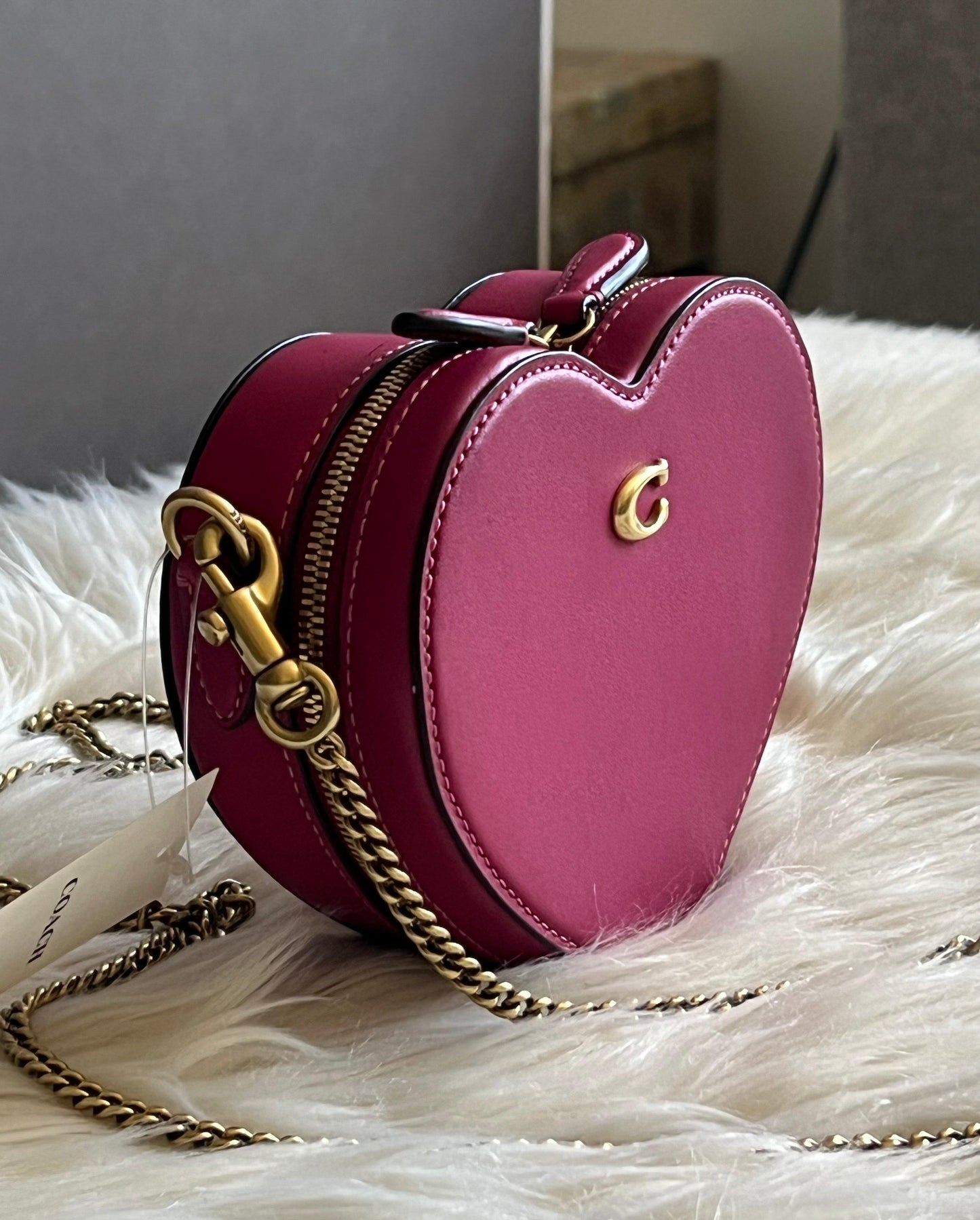 Coach Heart Crossbody 14