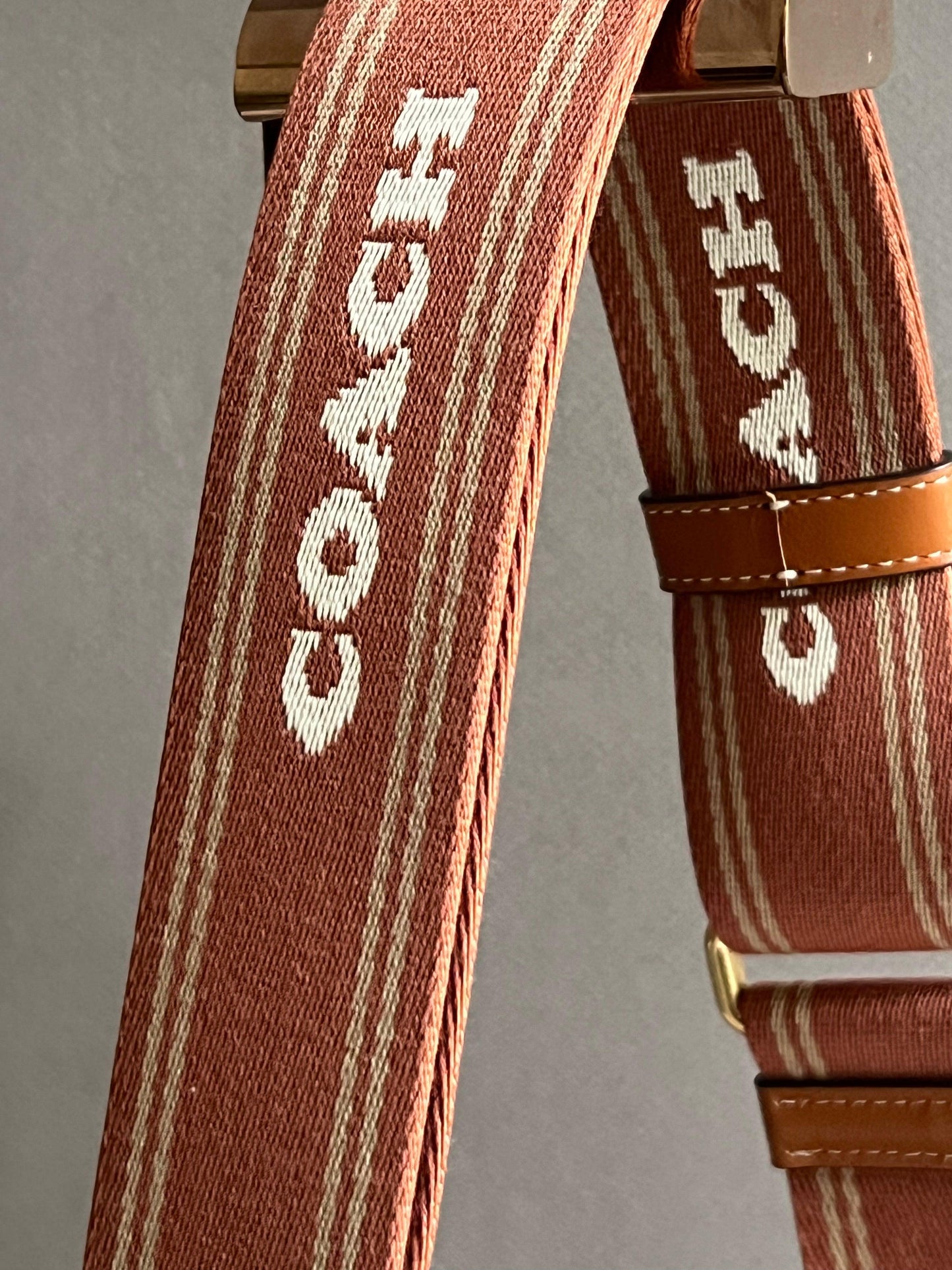 Coach Colorblock Webbing Strap