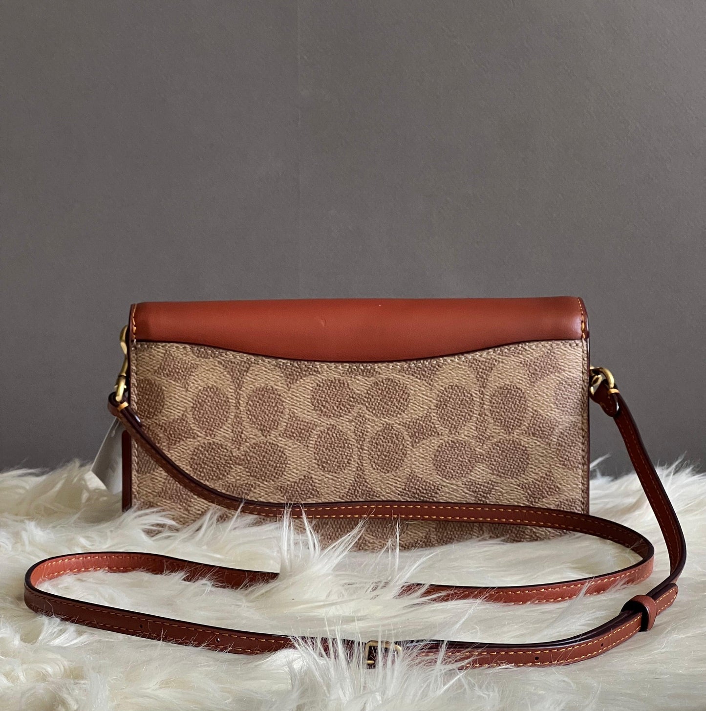 Coach Hayden Crossbody in Signature Canvas