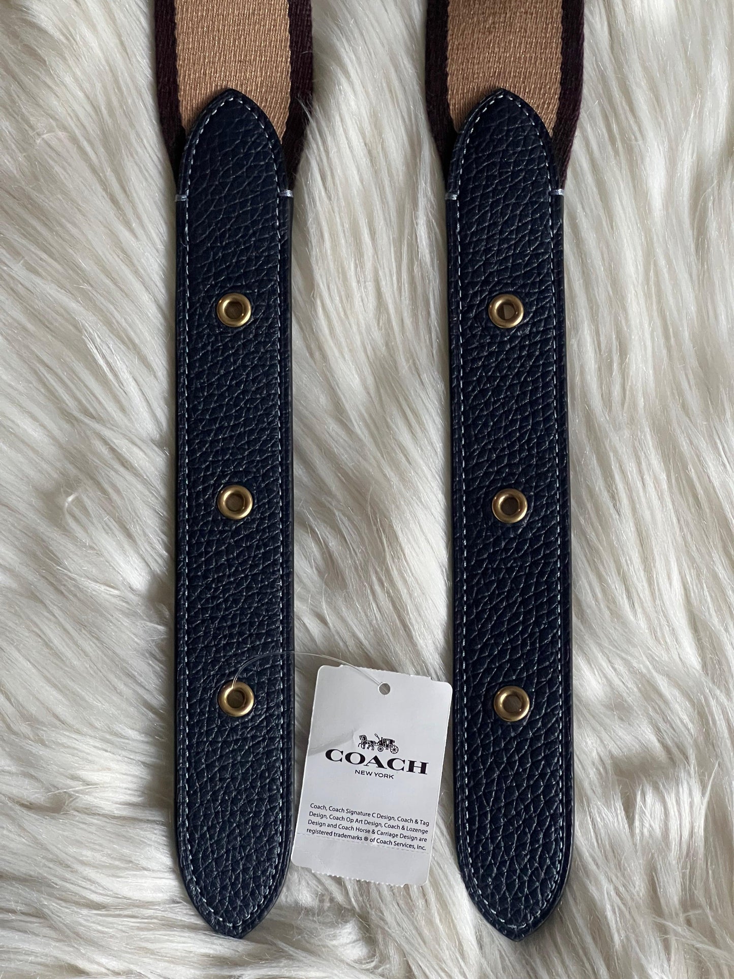 Coach Strap In Colorblock With Varsity Stripe