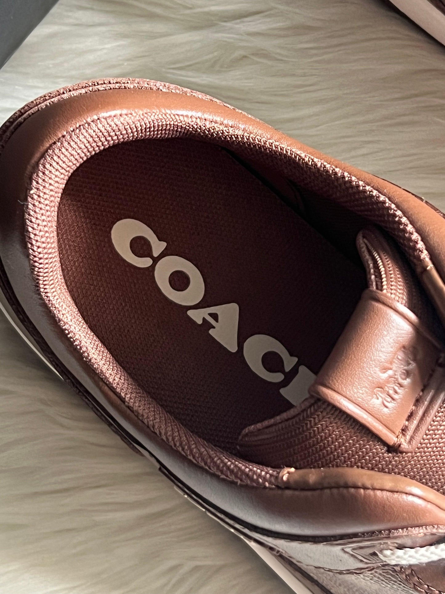 Coach Sneaker in Signature Canvas