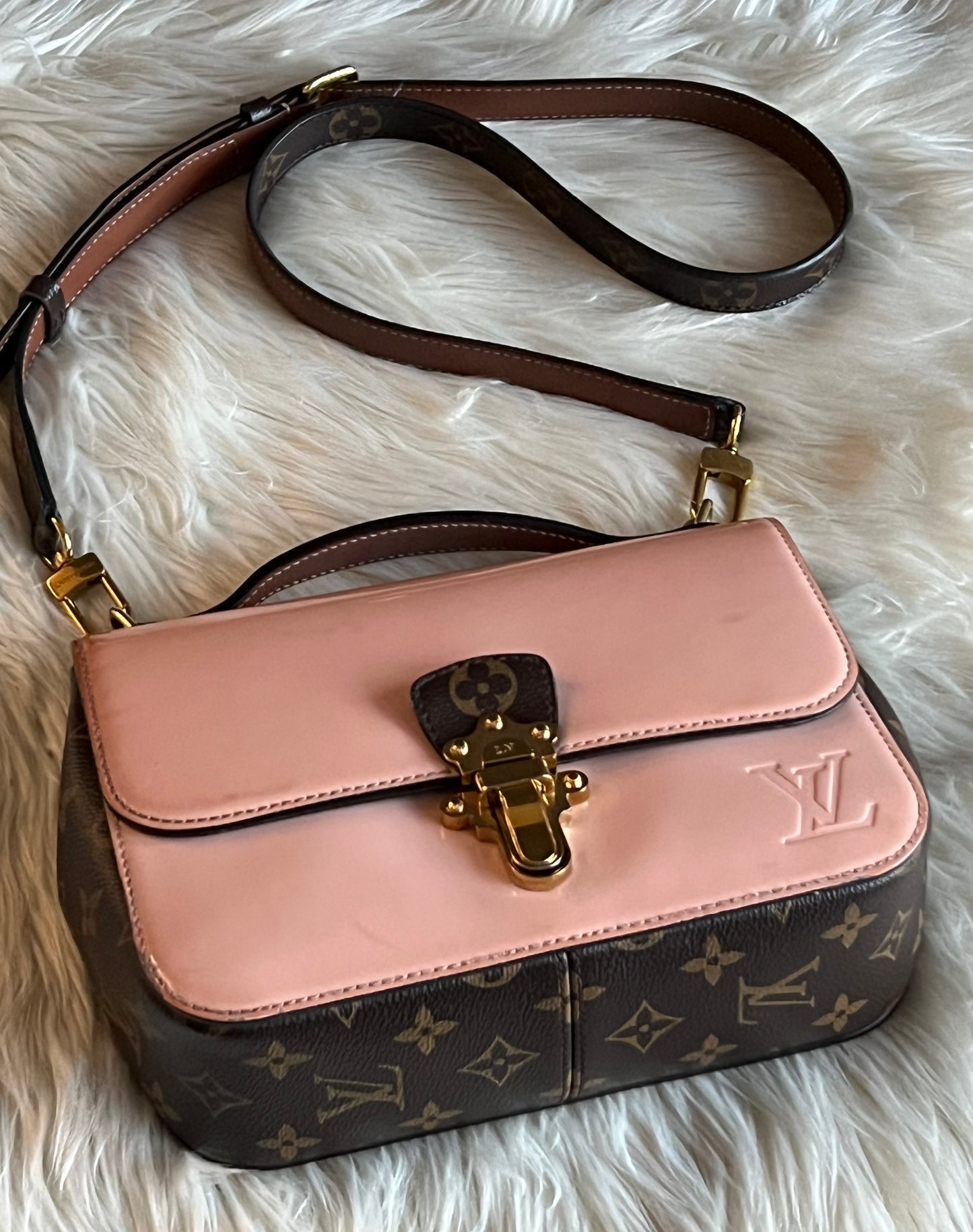 Louis Vuitton Vernis Cherrywood PM