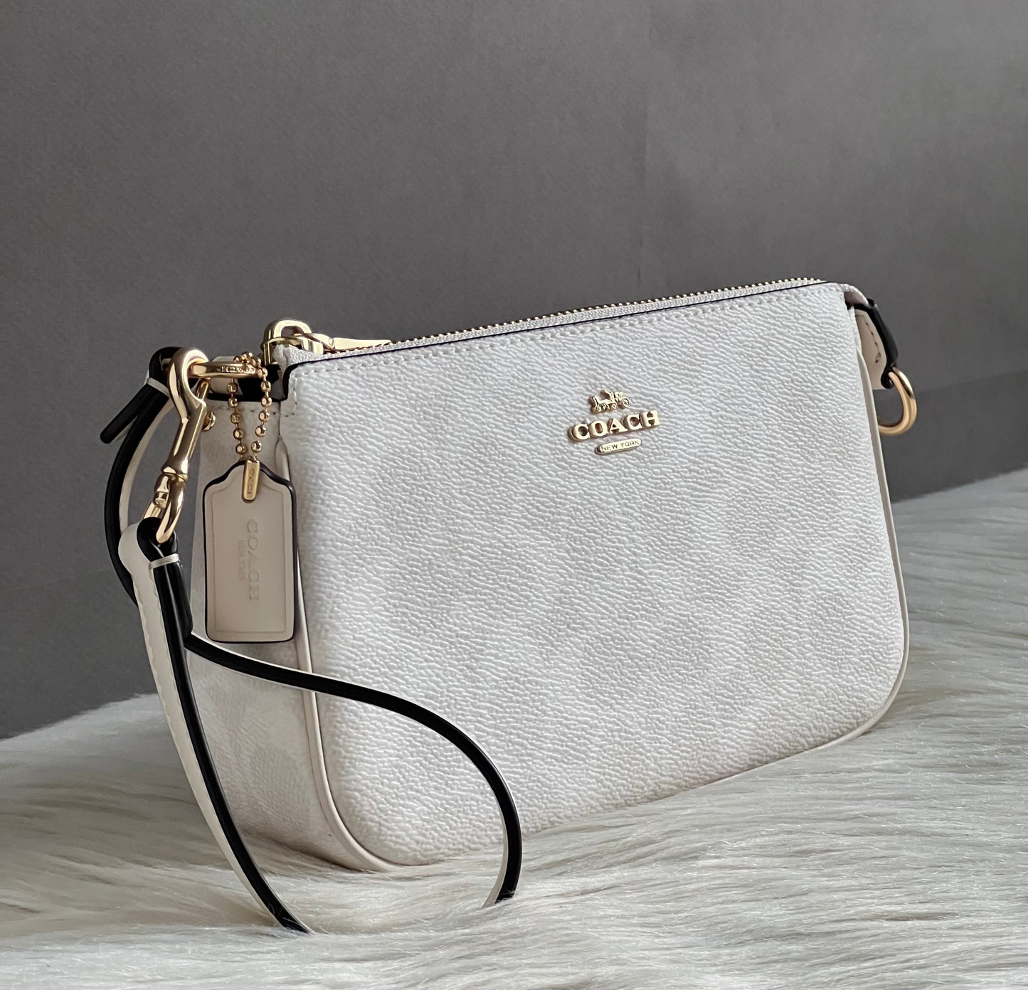 Coach Nolita 19 In Signature Canvas