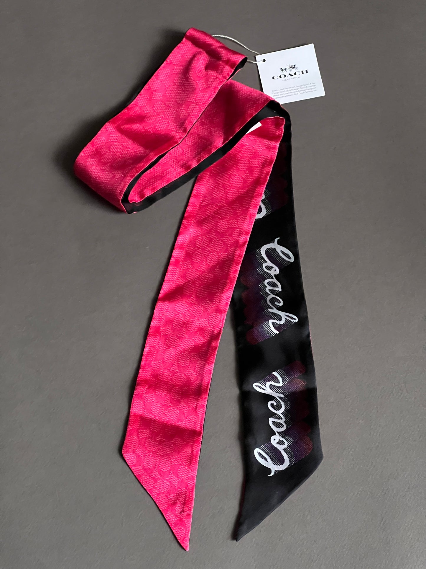 Coach Skinny Scarf/Bag Twilly