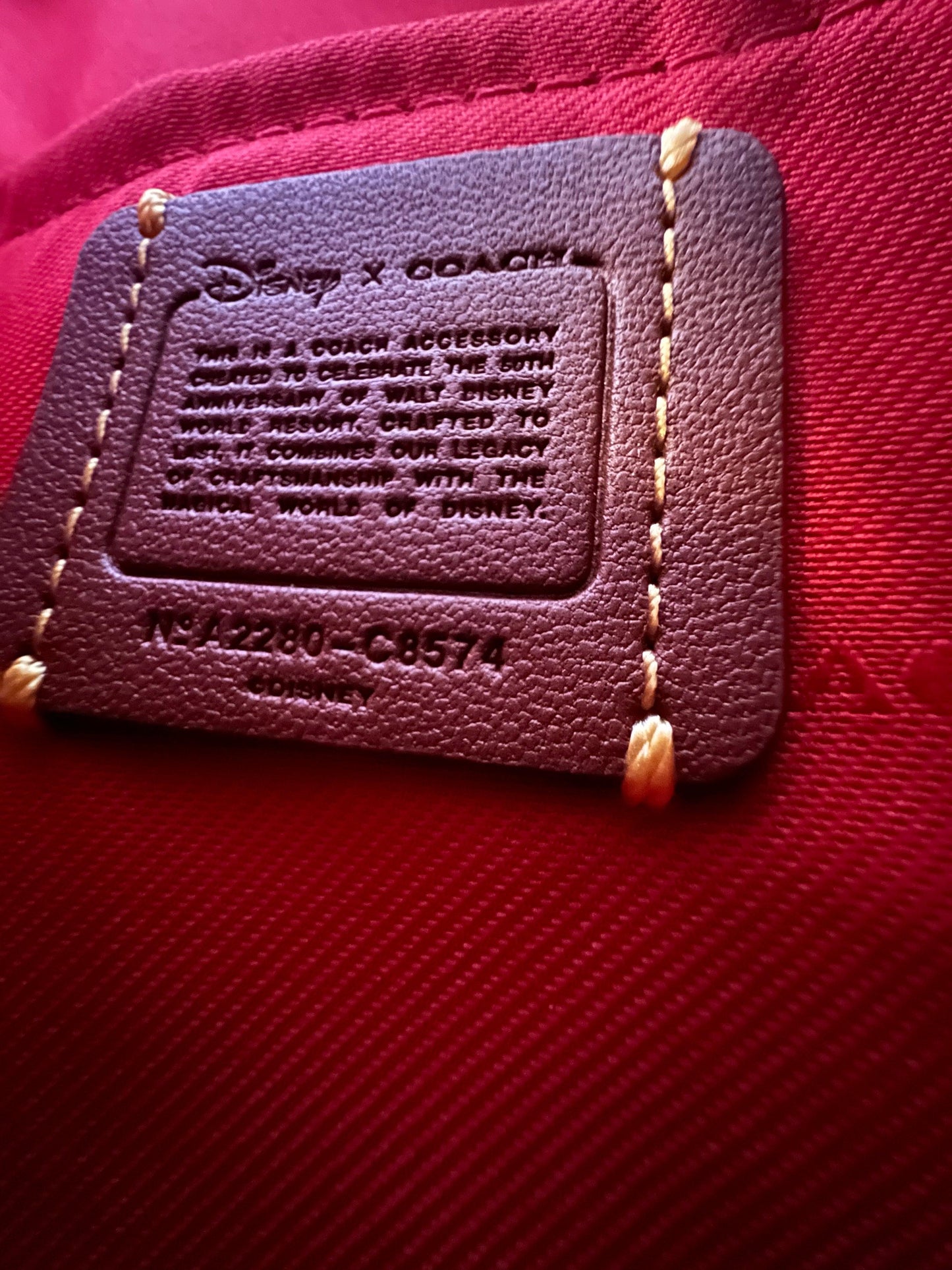 Disney X Coach Kitt Messenger Crossbody With Patches