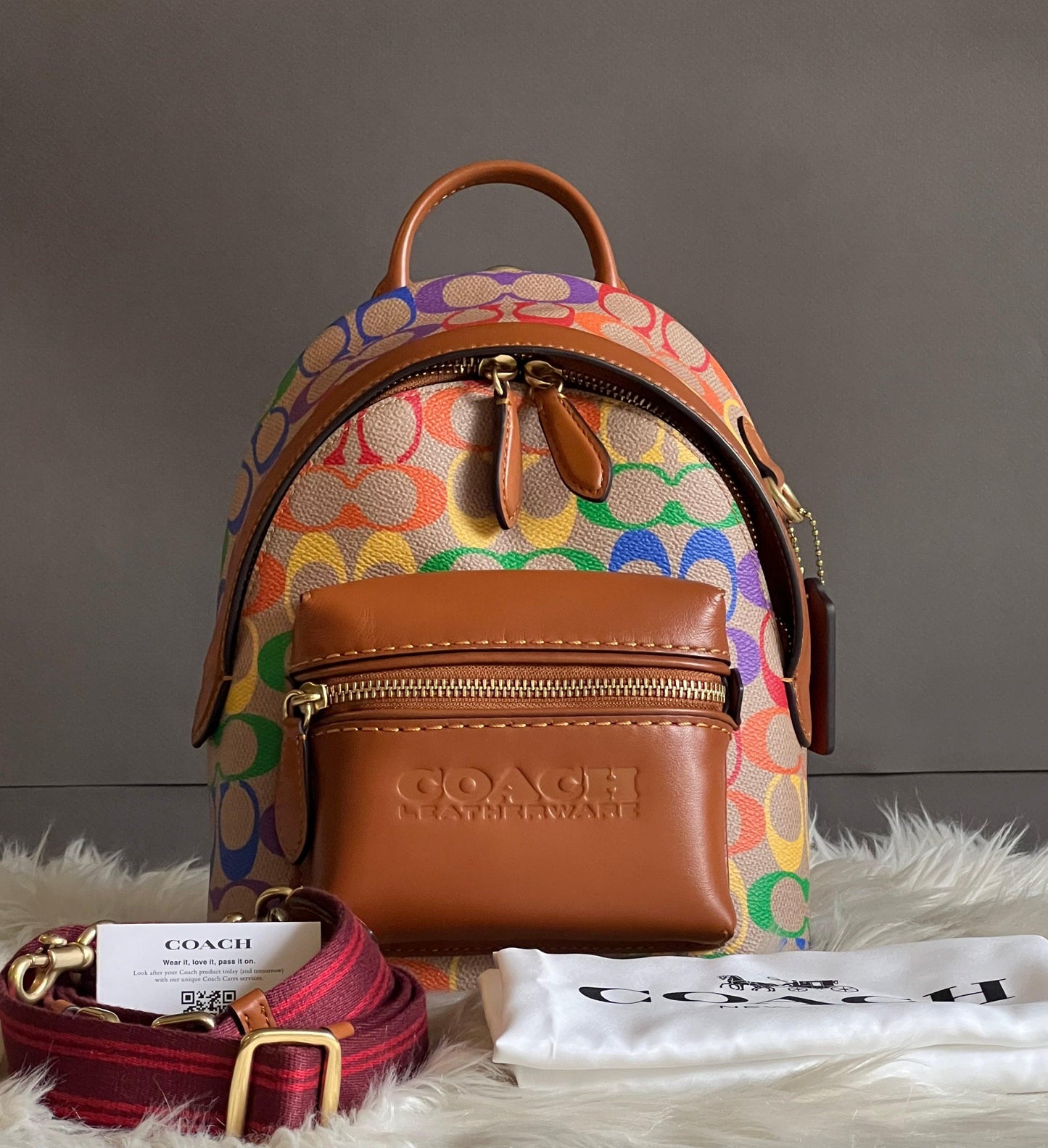 Coach Charter Backpack 18 in Rainbow Signature Canvas