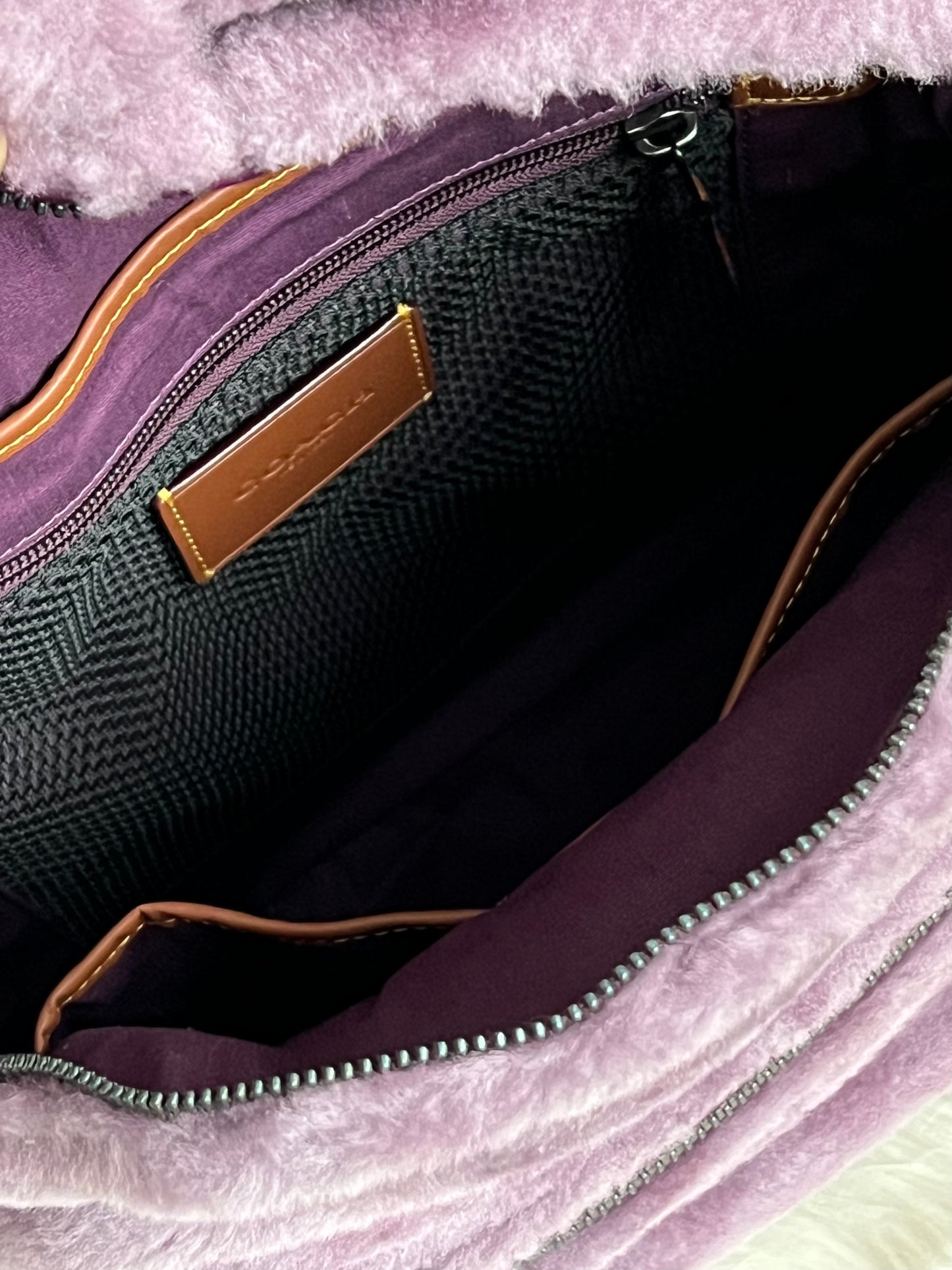 Coach Charter Backpack In Signature Shearling
