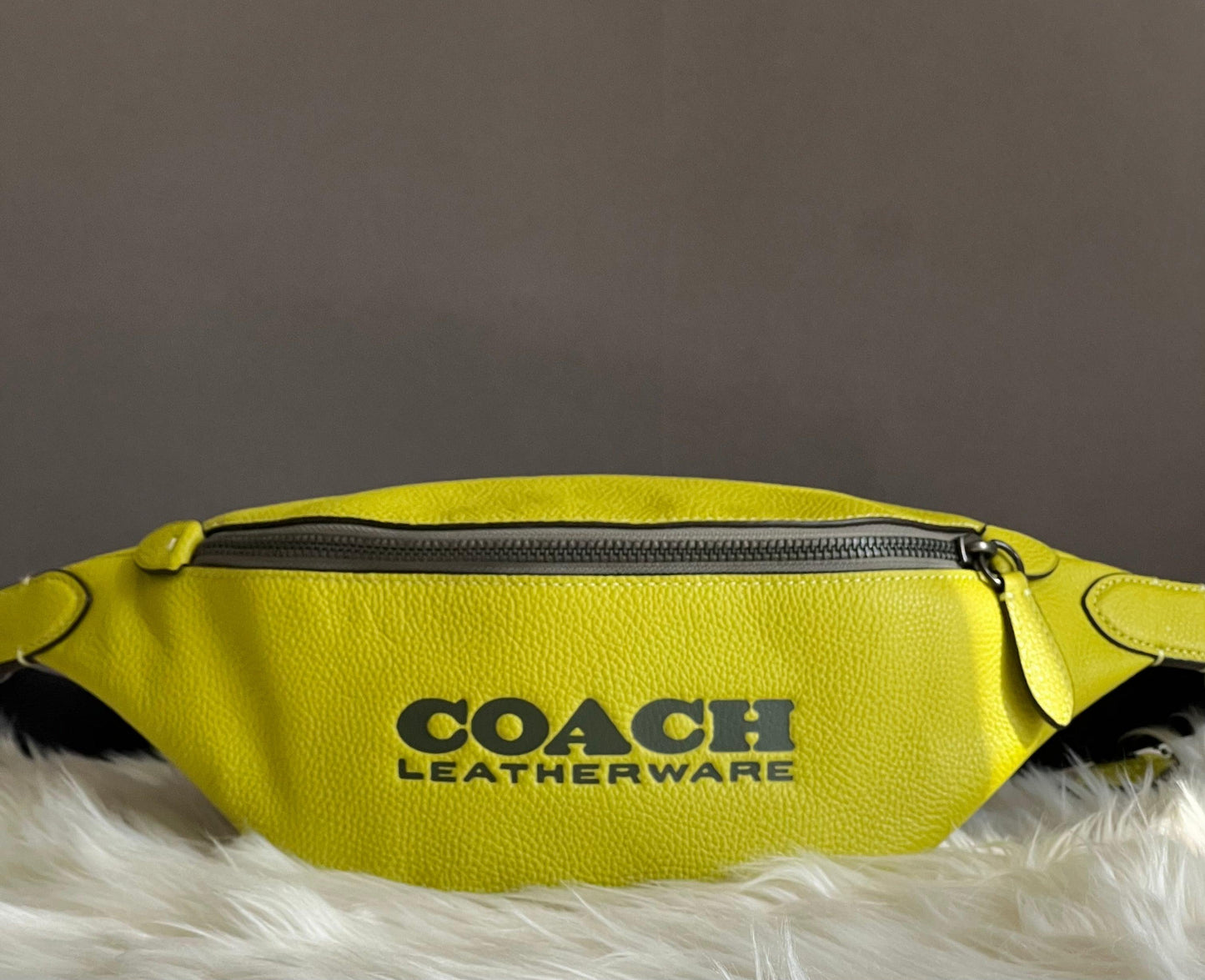 Coach Charter Belt Bag 7