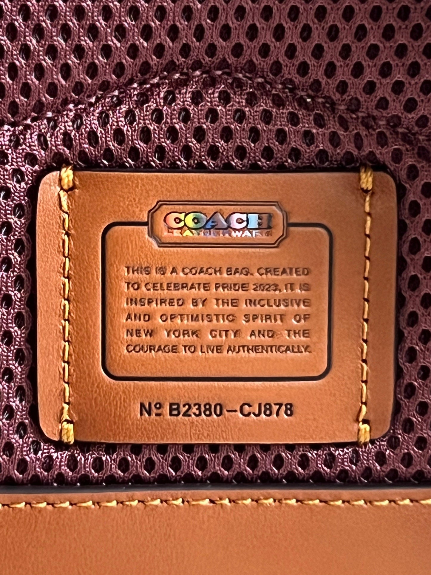 Coach Charter Backpack 18 in Rainbow Signature Canvas