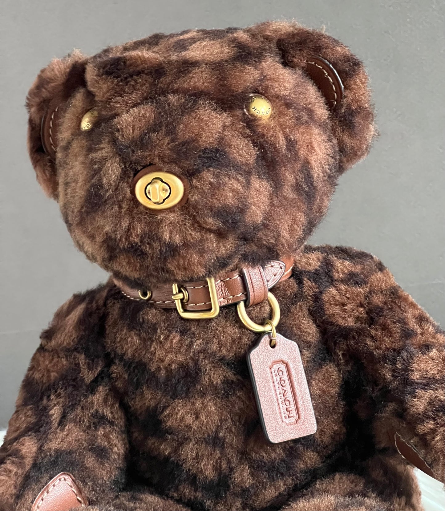 Coach Bear Collectible in Signature Shearling